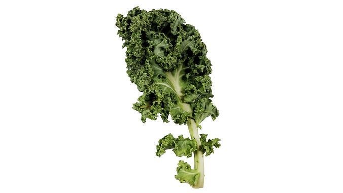 Lettuce 1 Low-poly 3D model