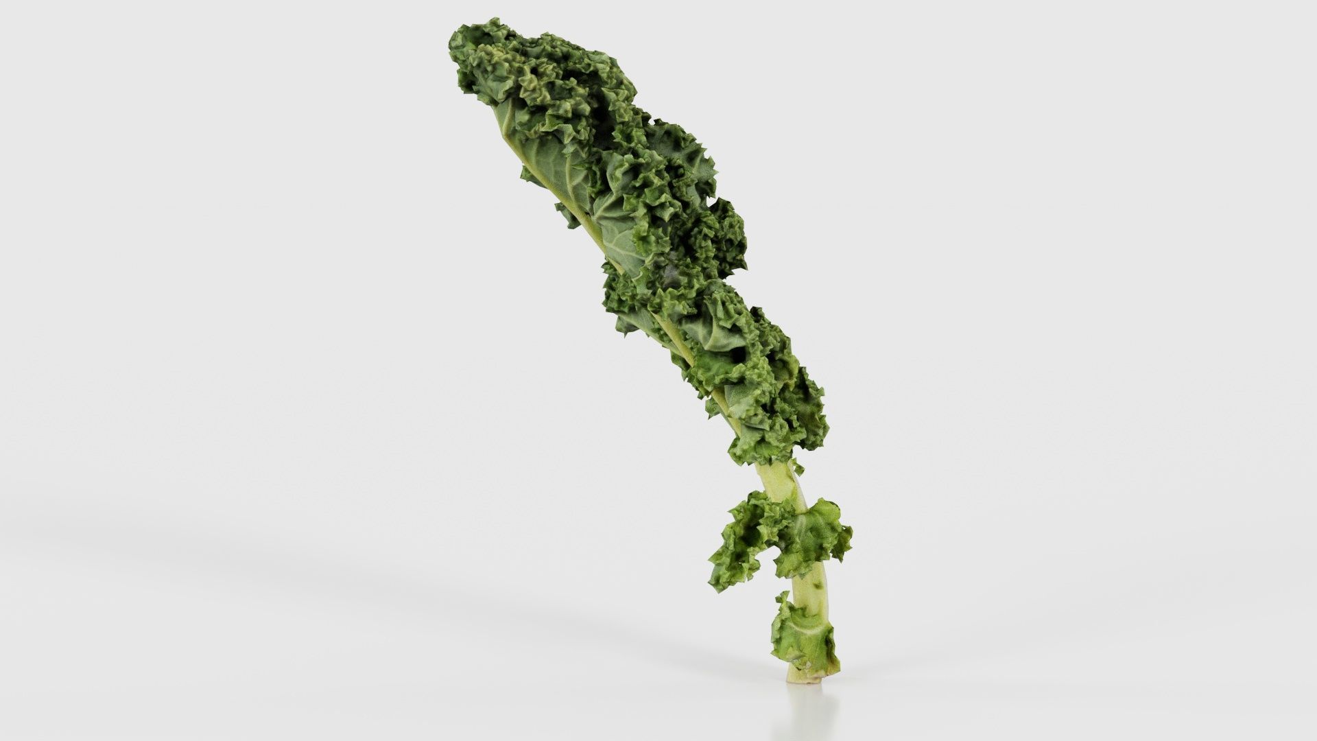Lettuce 1 Low-poly 3D model_17