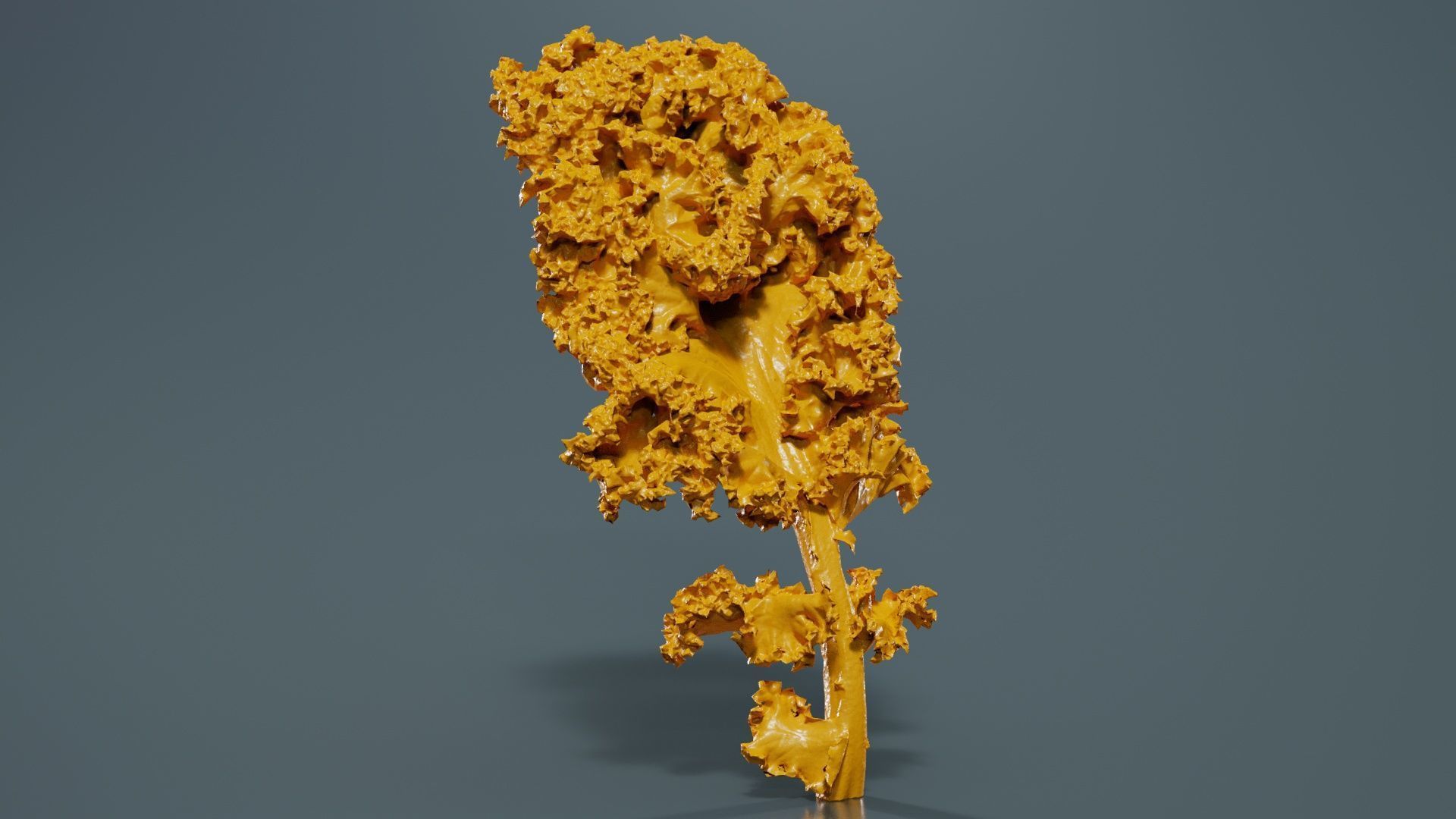 Lettuce 1 Low-poly 3D model_12