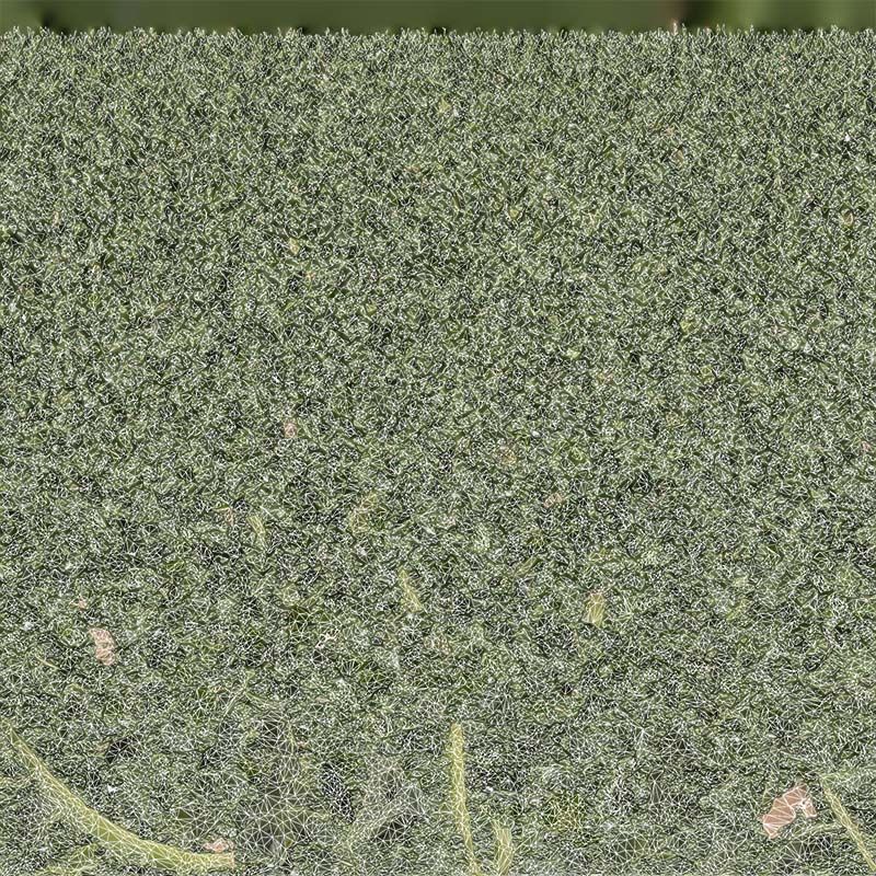 Lettuce 2 Low-poly 3D model_14