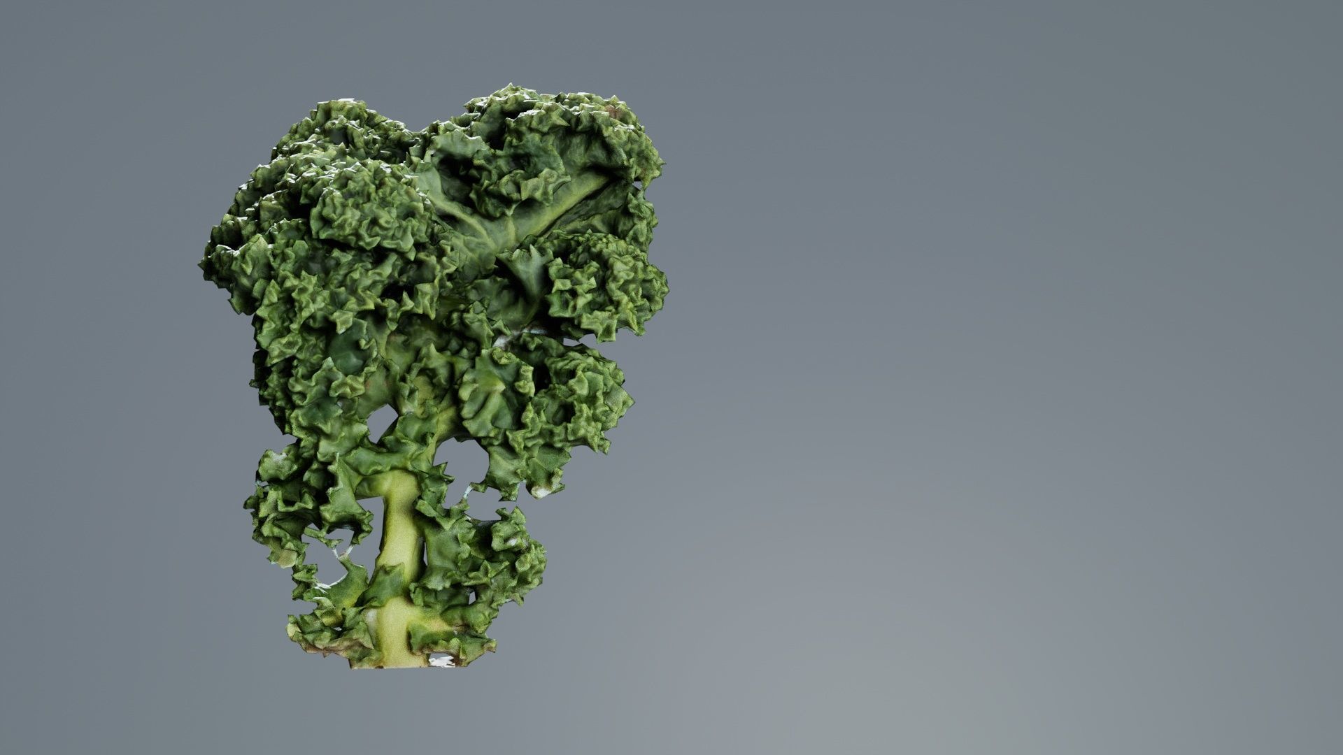 Lettuce 2 Low-poly 3D model_7