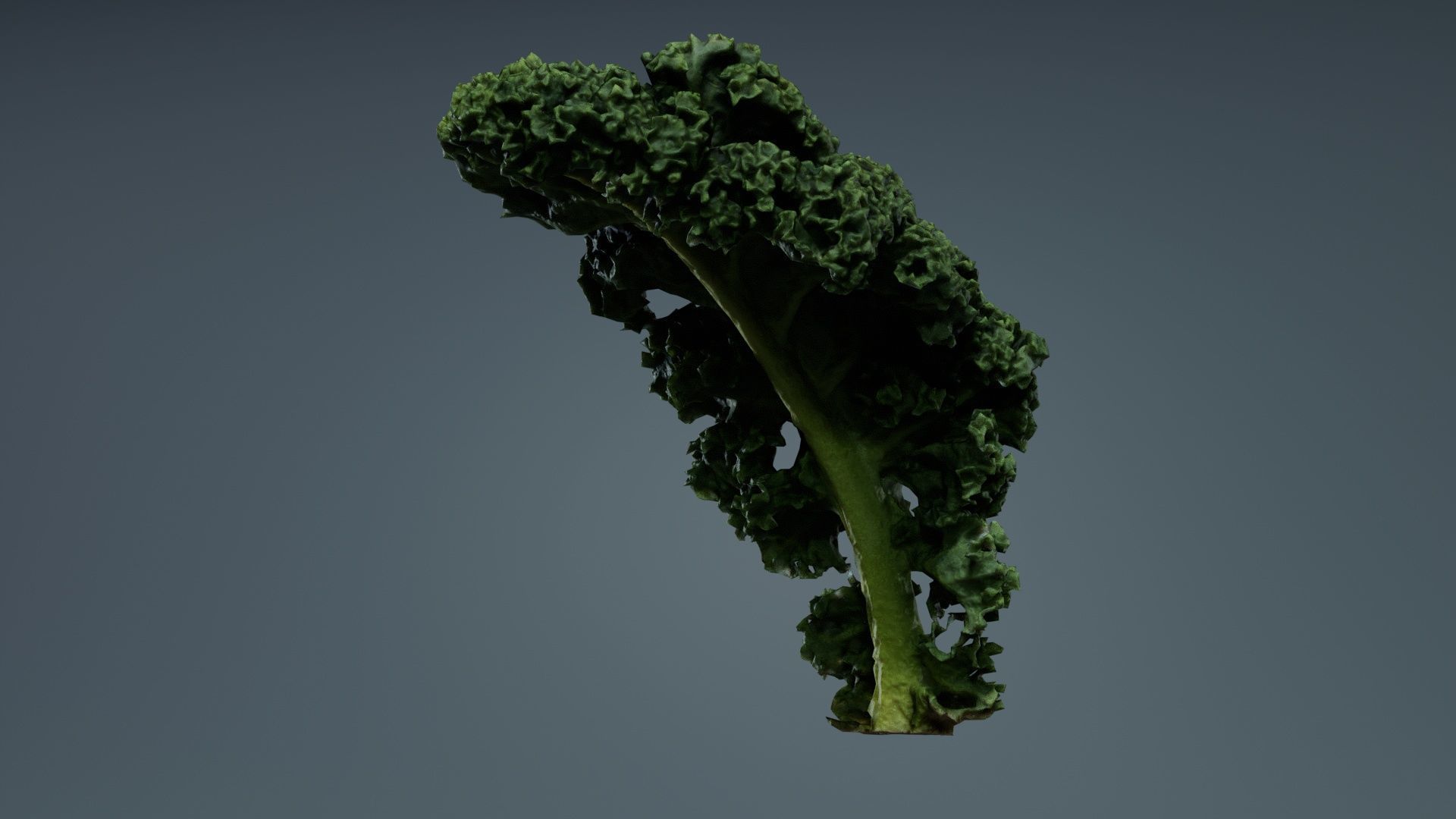 Lettuce 2 Low-poly 3D model_5