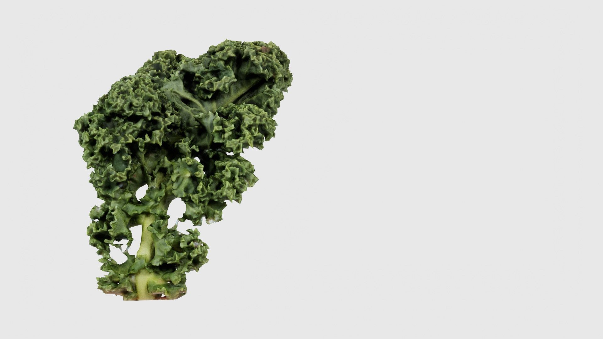 Lettuce 2 Low-poly 3D model_22