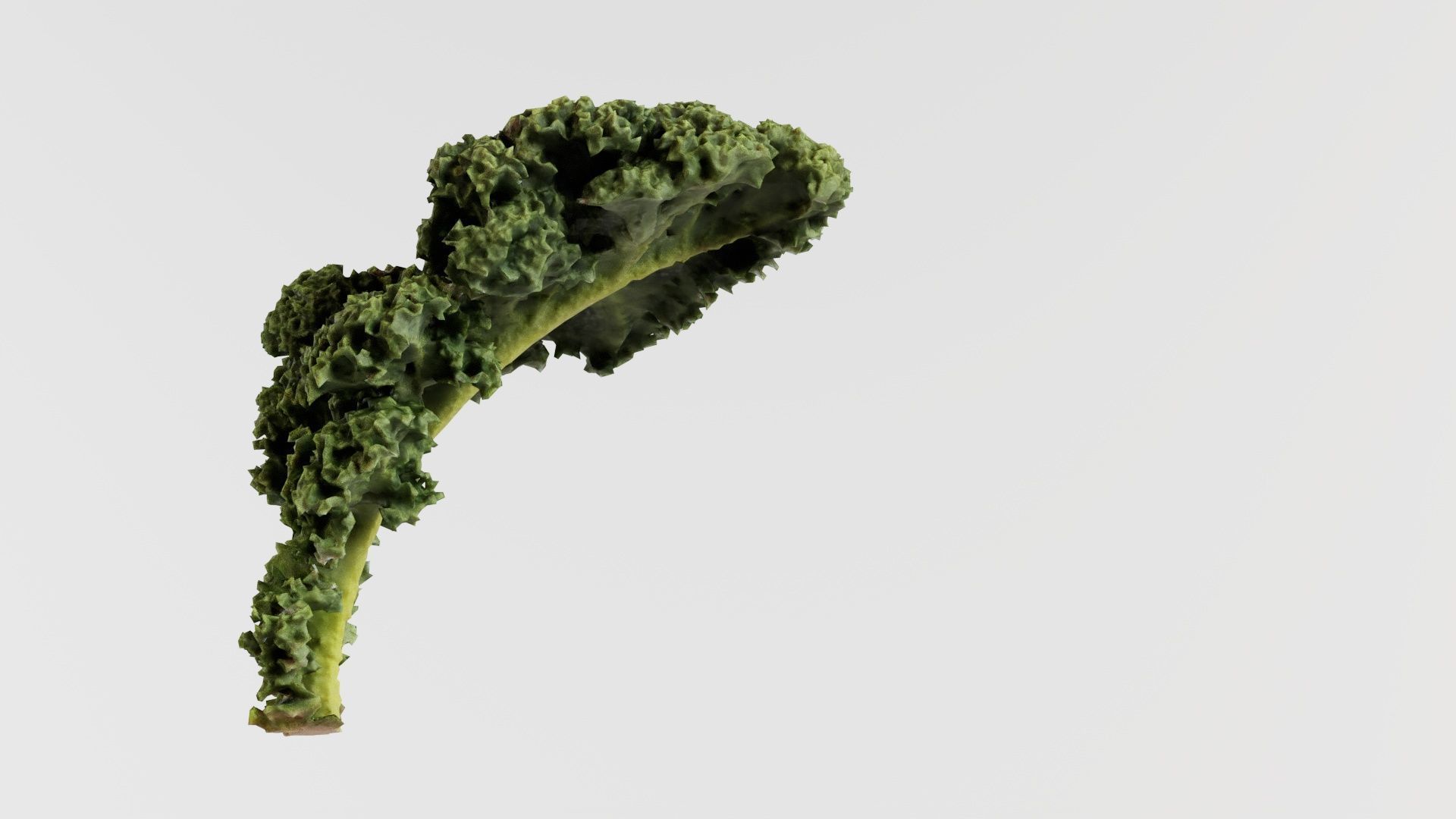 Lettuce 2 Low-poly 3D model_3