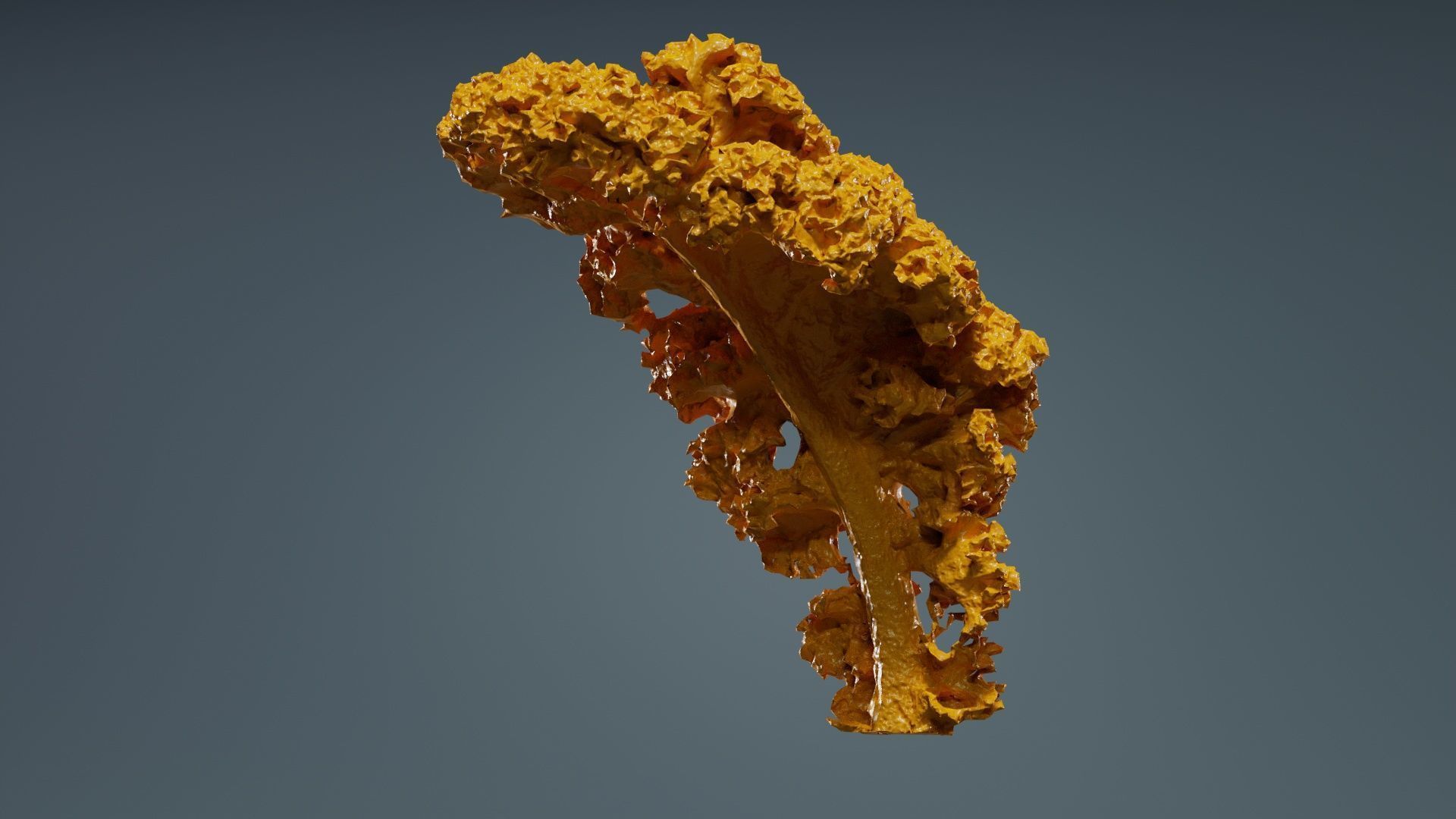 Lettuce 2 Low-poly 3D model_12