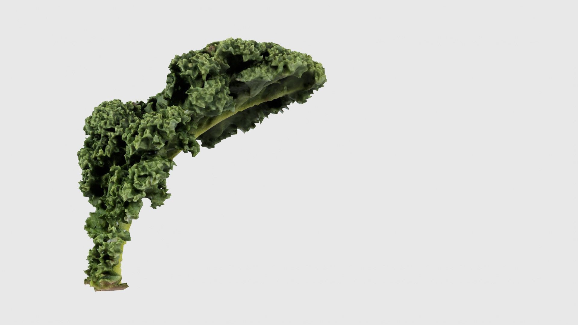 Lettuce 2 Low-poly 3D model_20