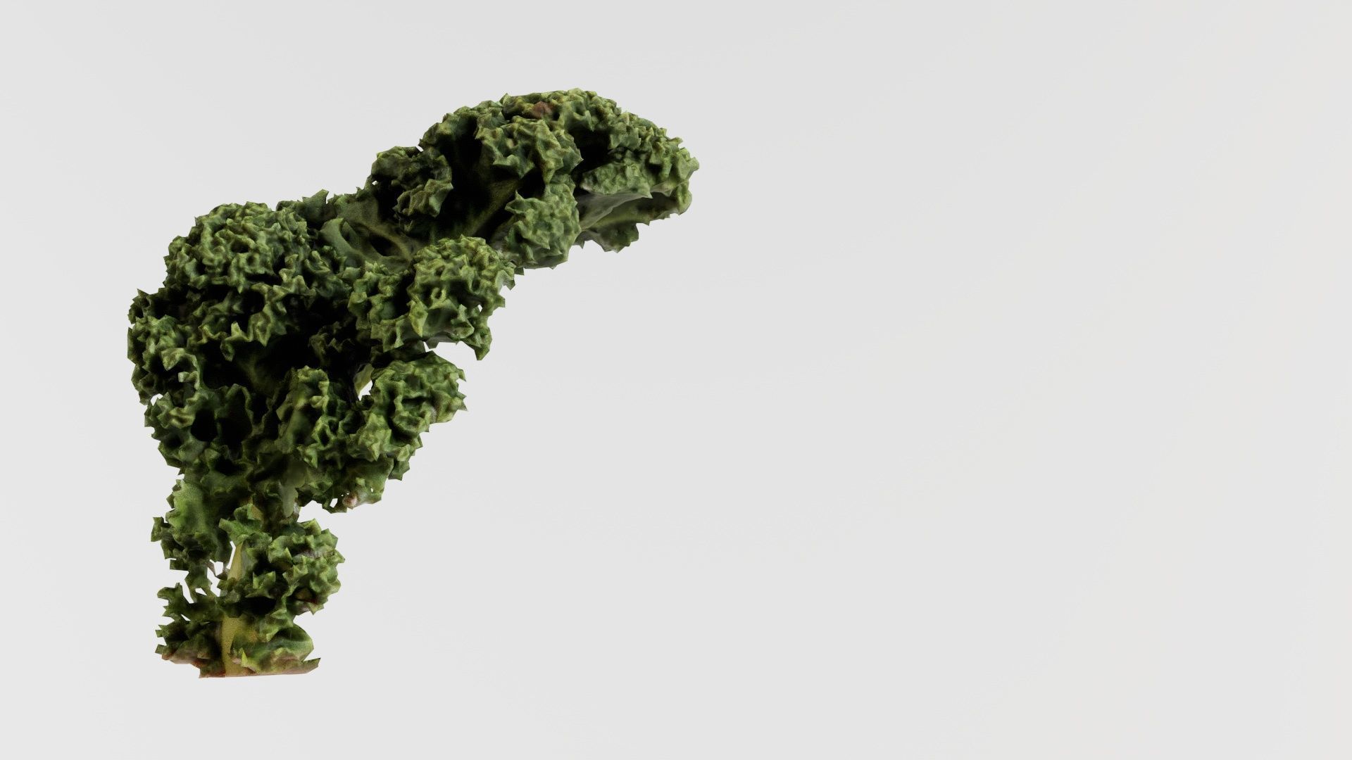 Lettuce 2 Low-poly 3D model_8