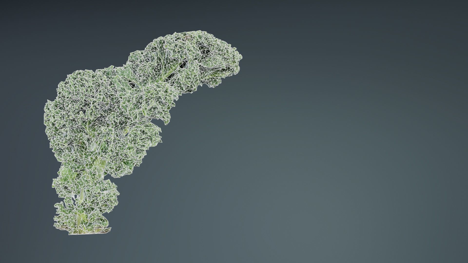 Lettuce 2 Low-poly 3D model_10