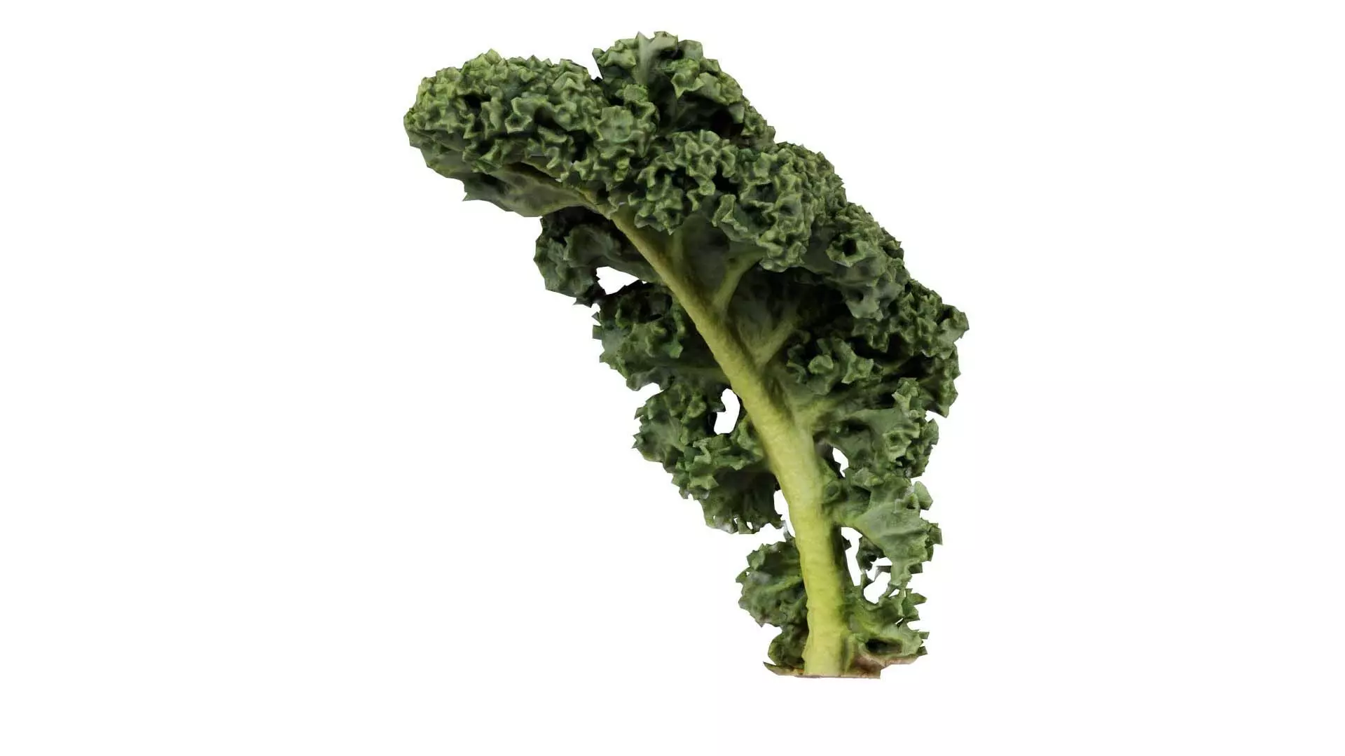 Lettuce 2 Low-poly 3D model_0