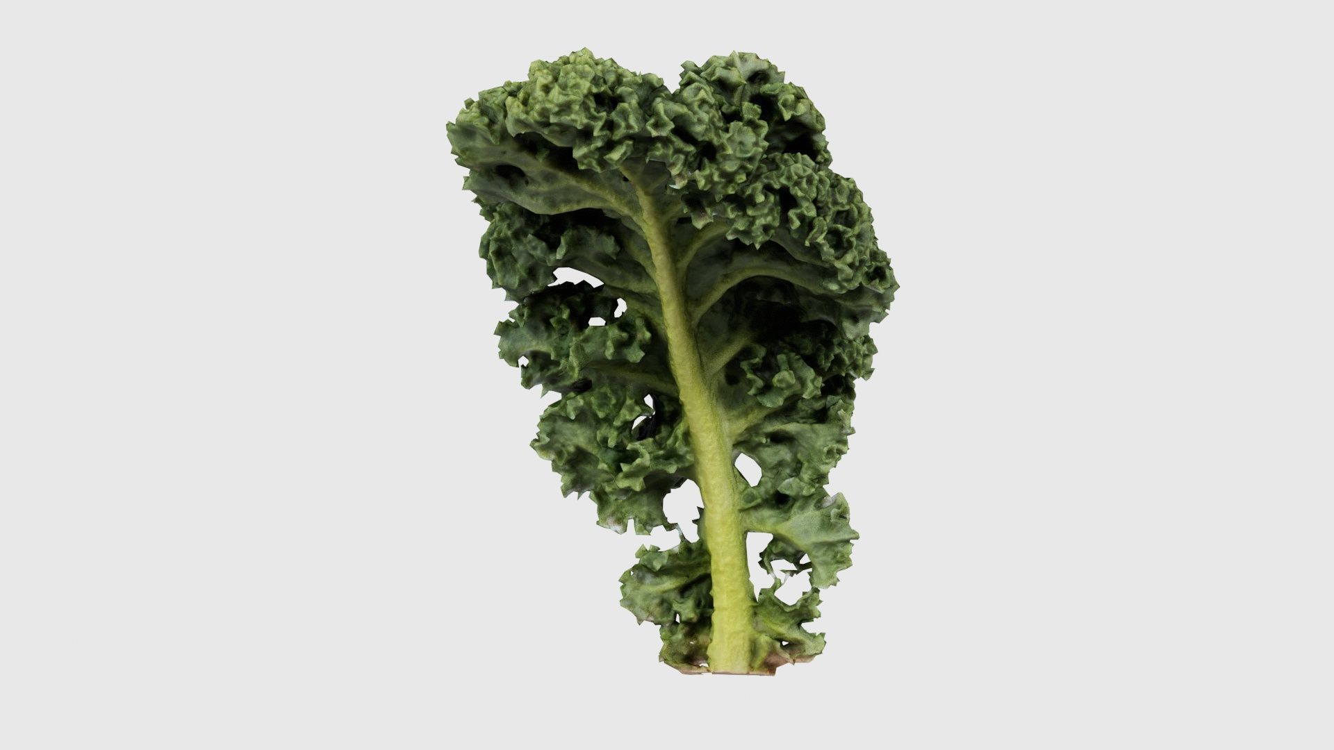 Lettuce 2 Low-poly 3D model_16