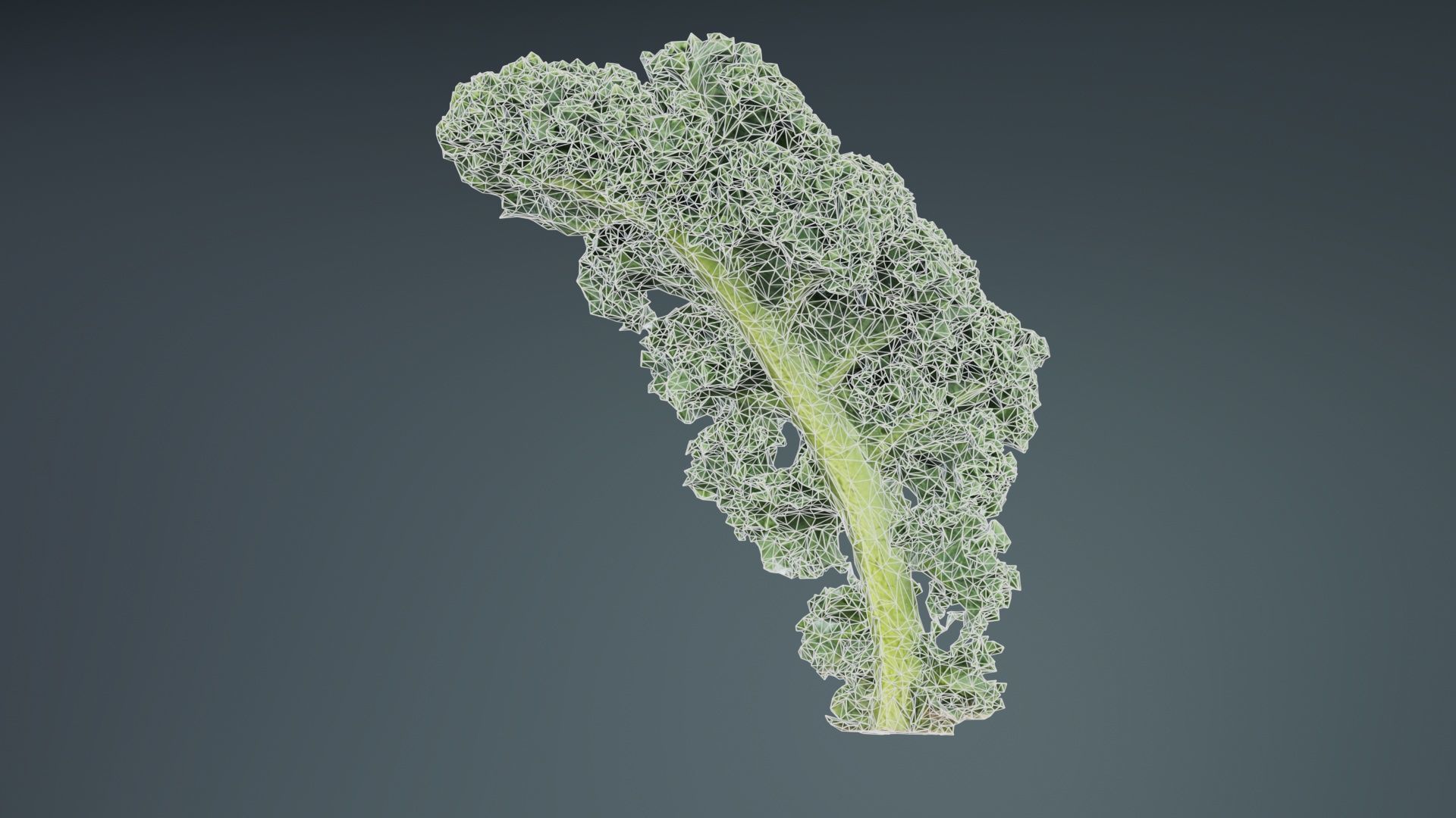 Lettuce 2 Low-poly 3D model_9