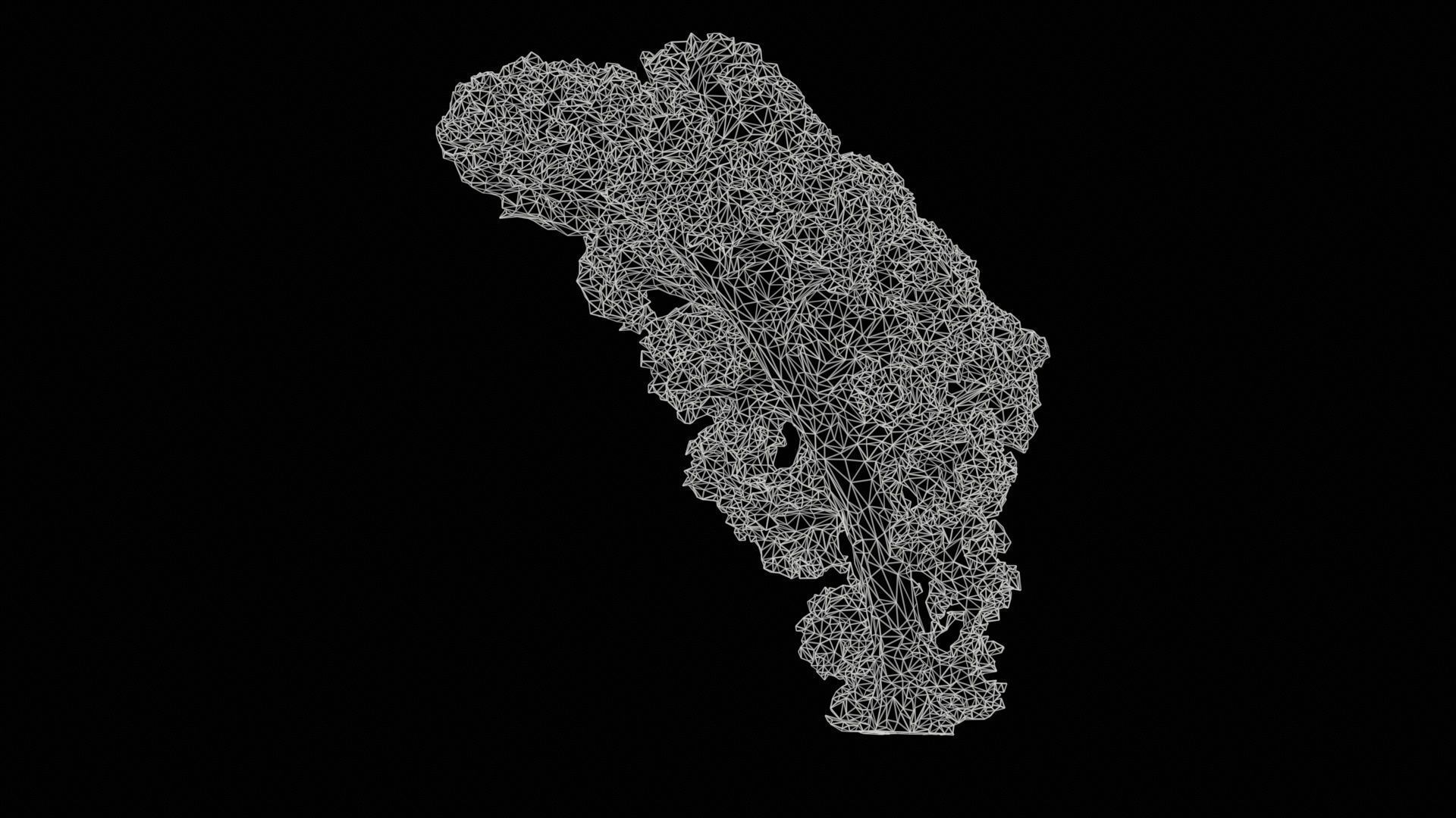 Lettuce 2 Low-poly 3D model_11