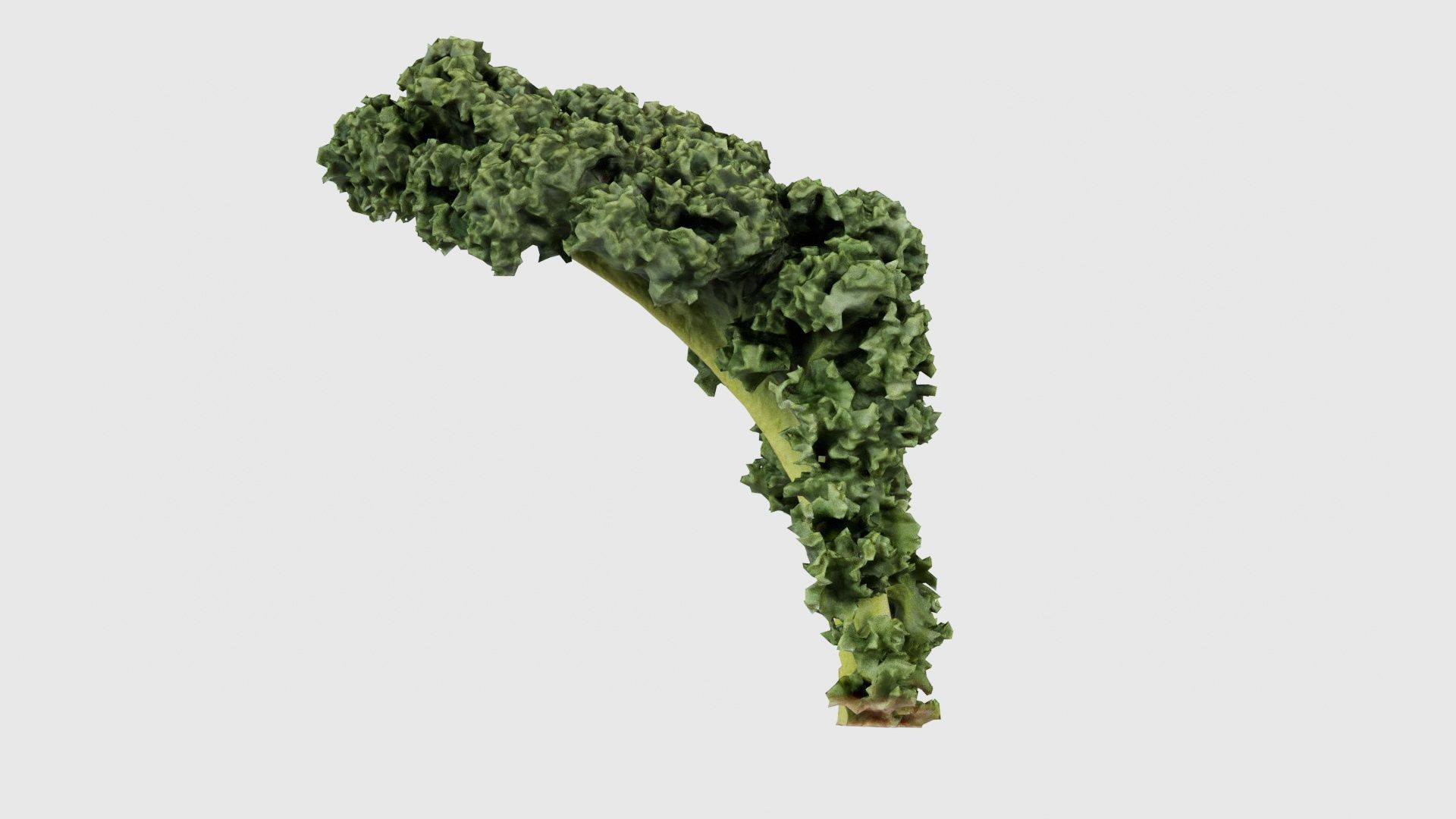 Lettuce 2 Low-poly 3D model_25