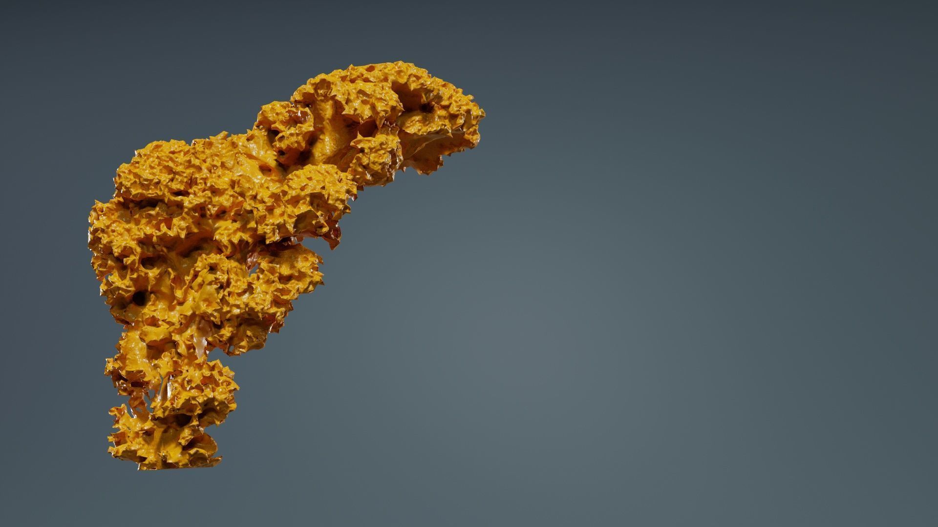 Lettuce 2 Low-poly 3D model_13