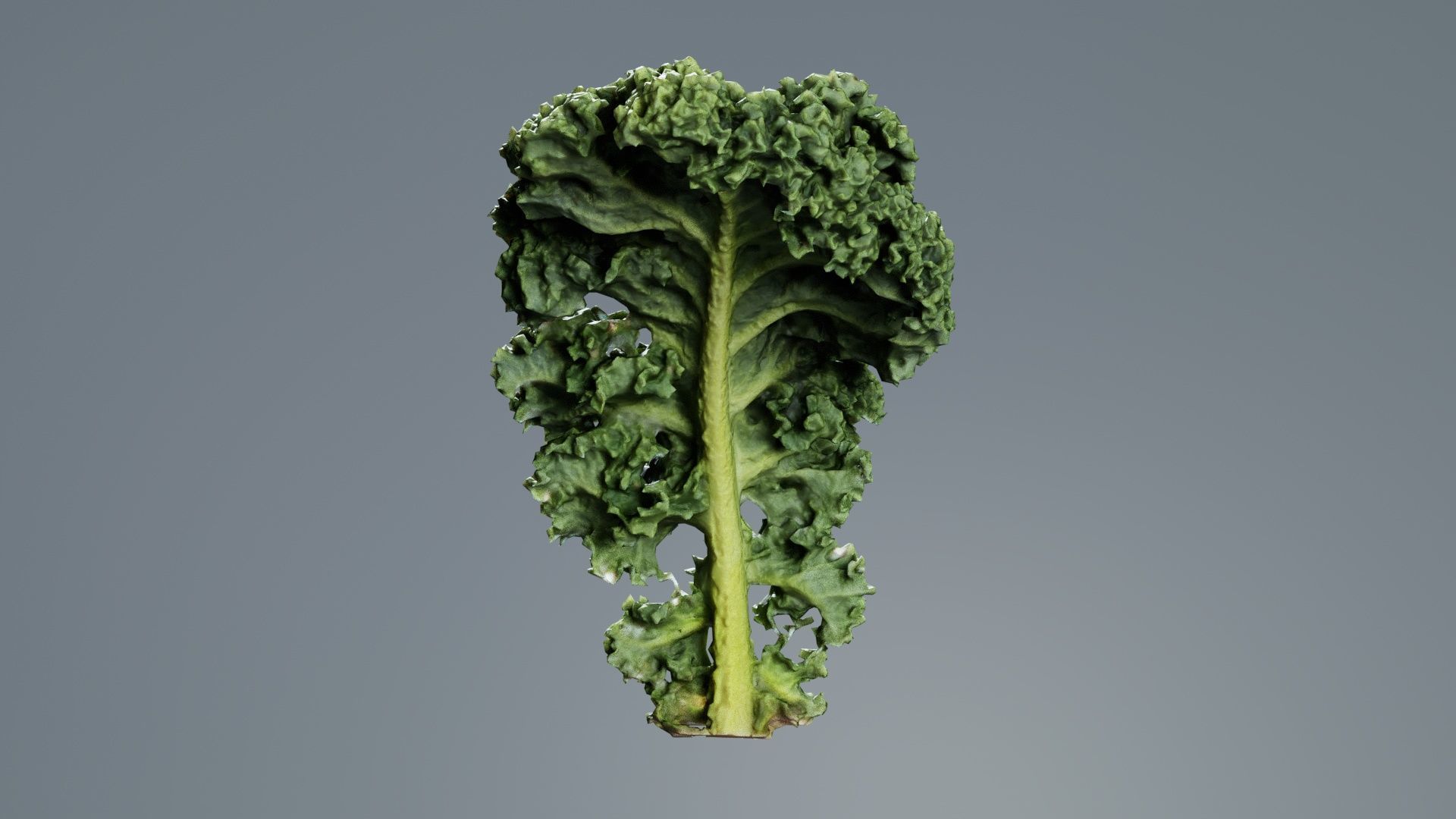 Lettuce 2 Low-poly 3D model_1