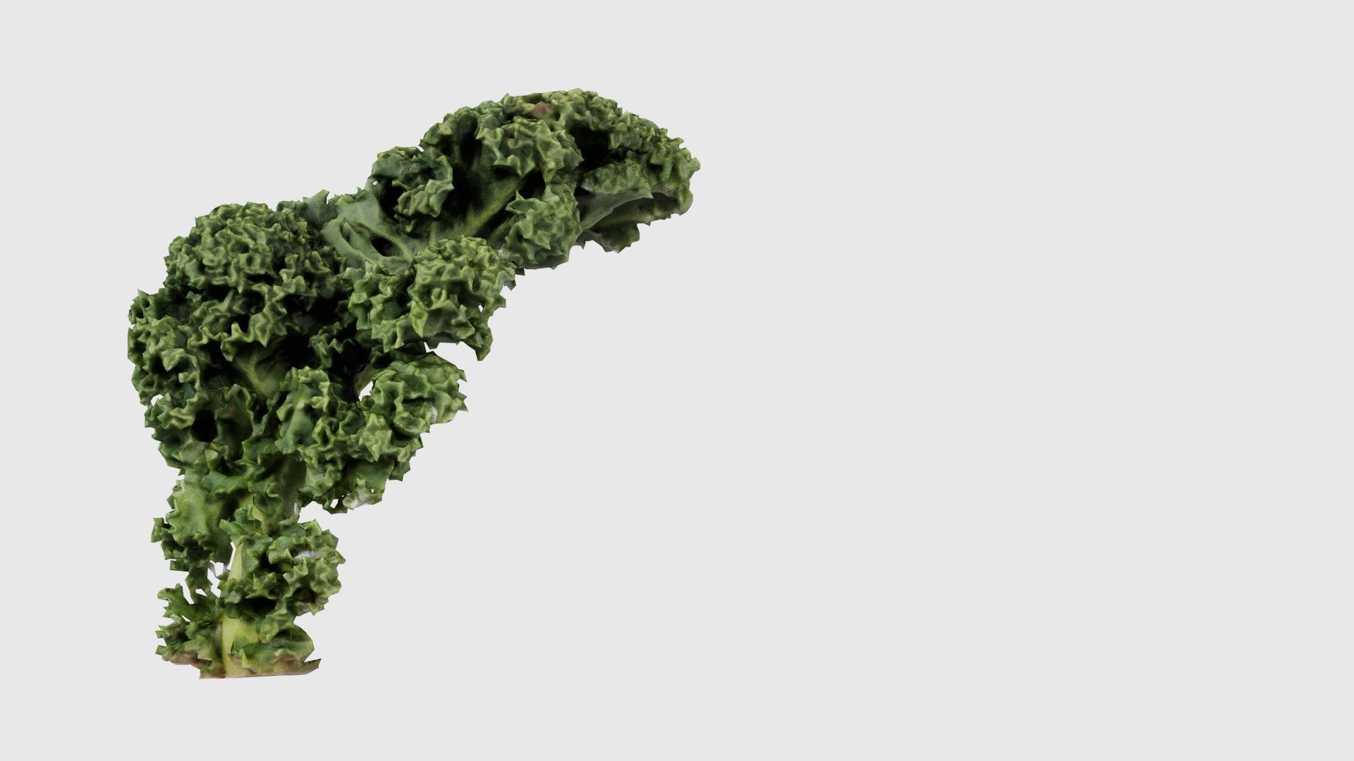 Lettuce 2 Low-poly 3D model_21