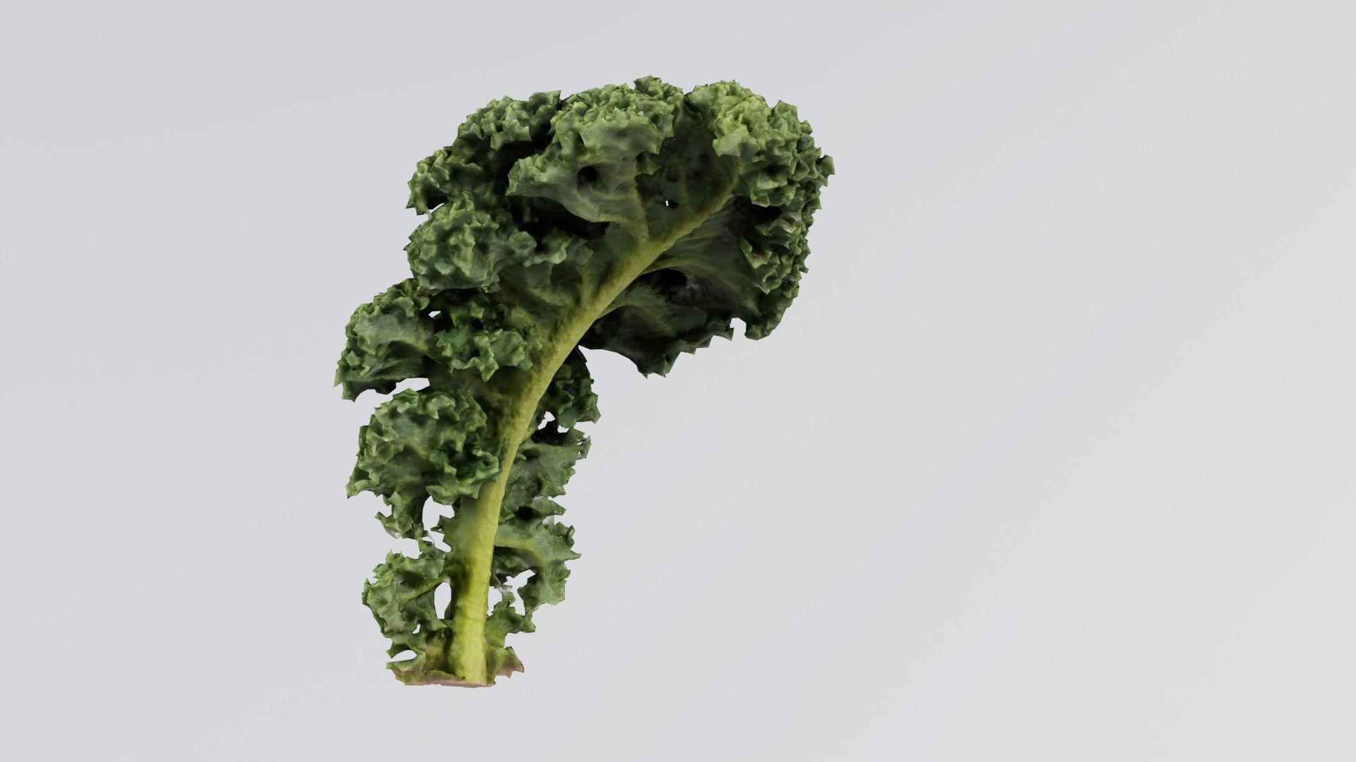 Lettuce 2 Low-poly 3D model_4