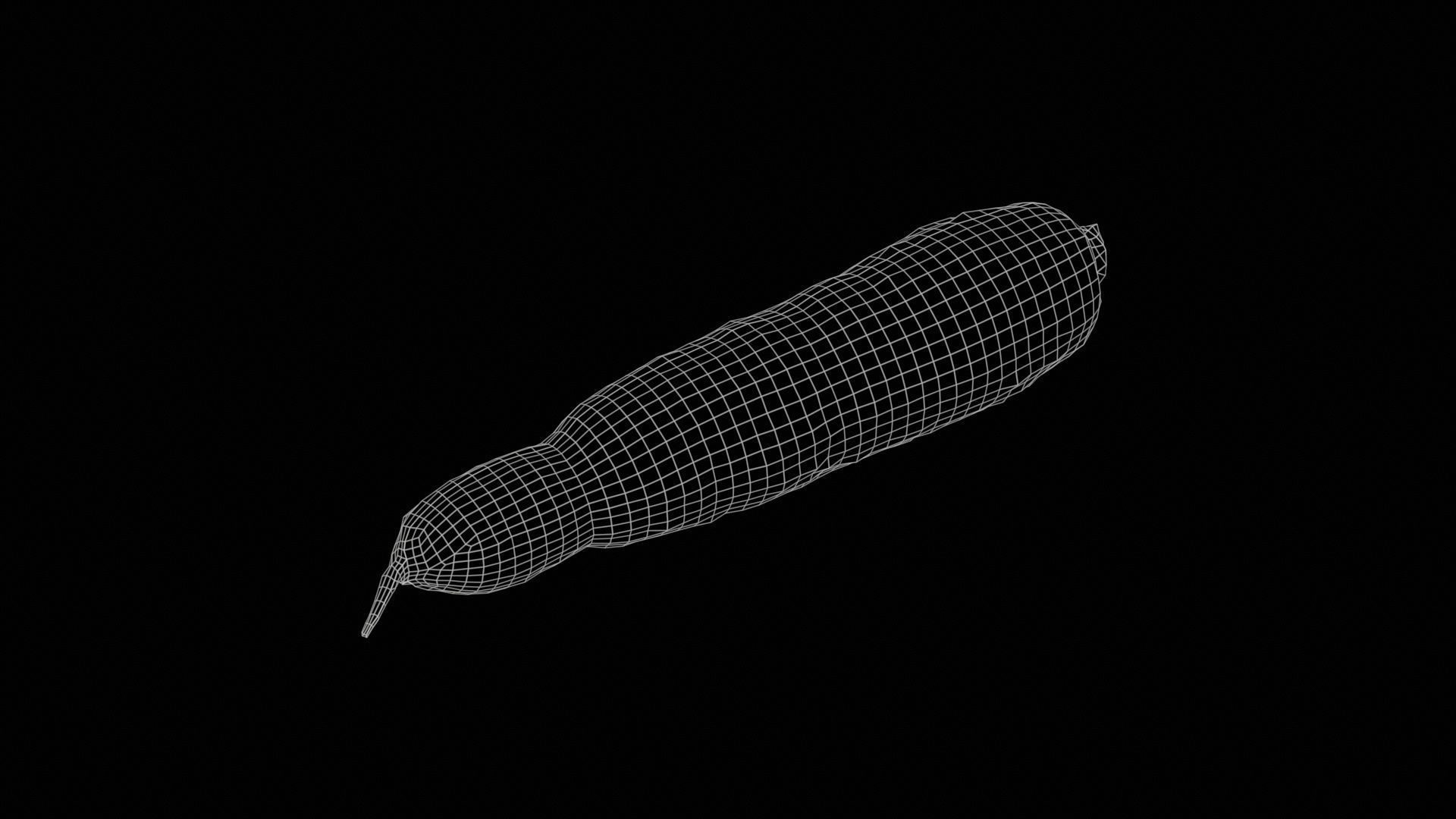 Manioc 1 Low-poly 3D model_11