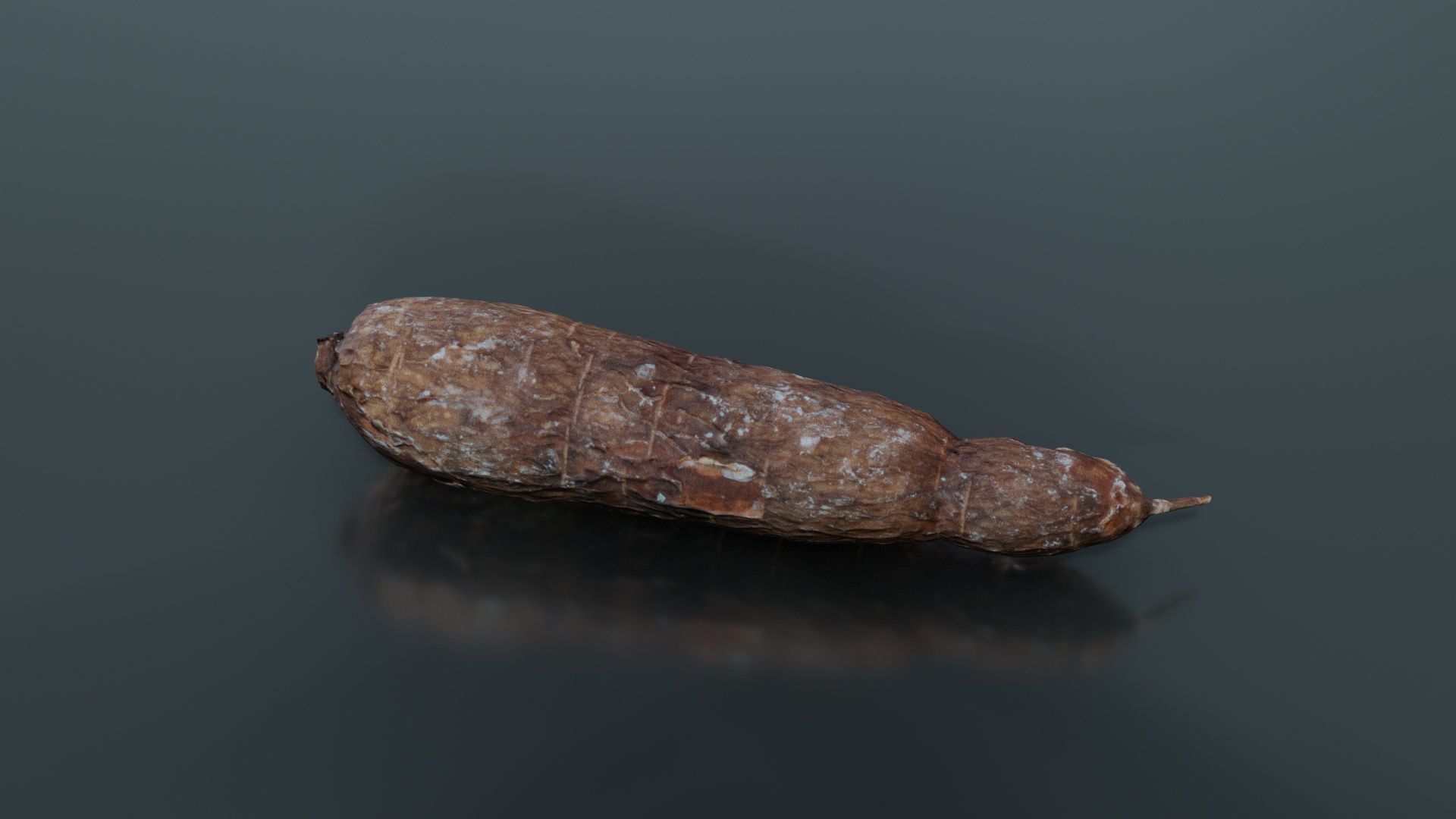 Manioc 1 Low-poly 3D model_6