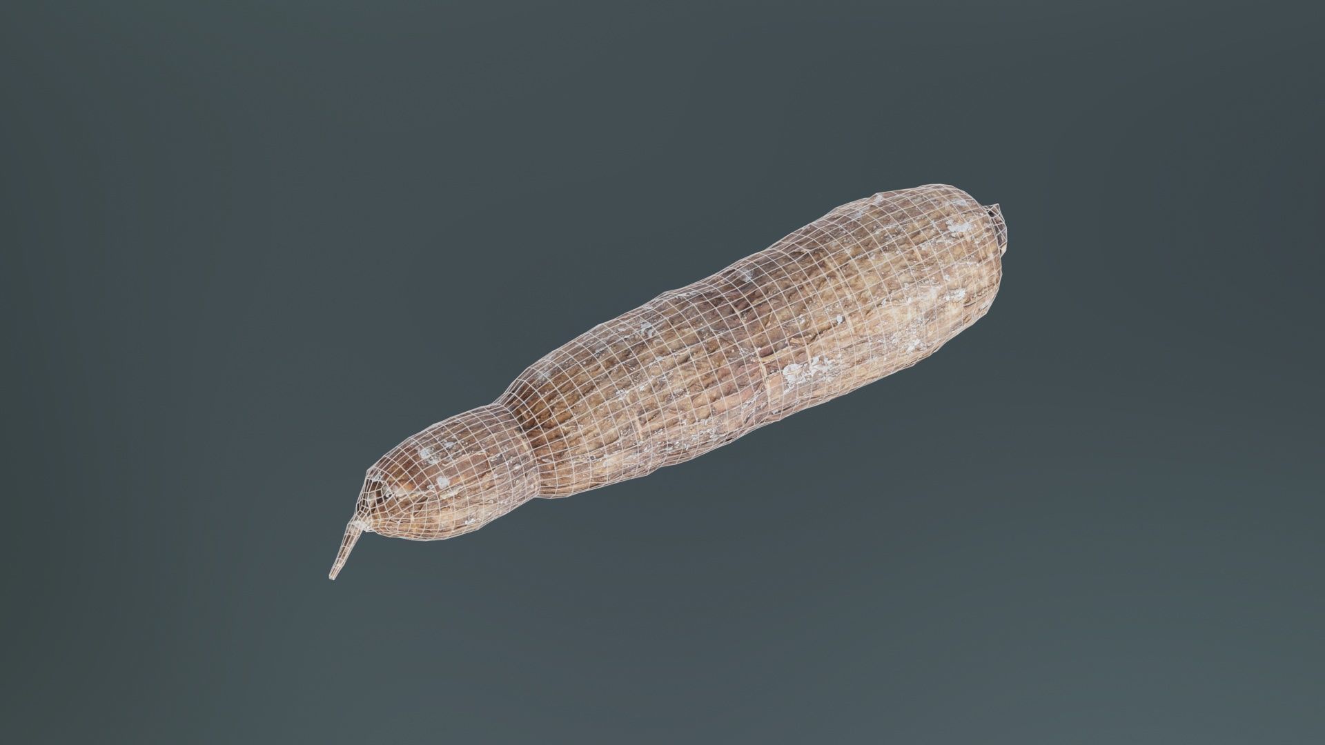 Manioc 1 Low-poly 3D model_9
