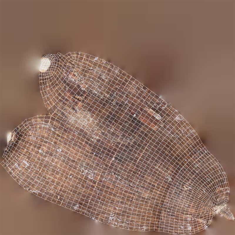 Manioc 1 Low-poly 3D model_14