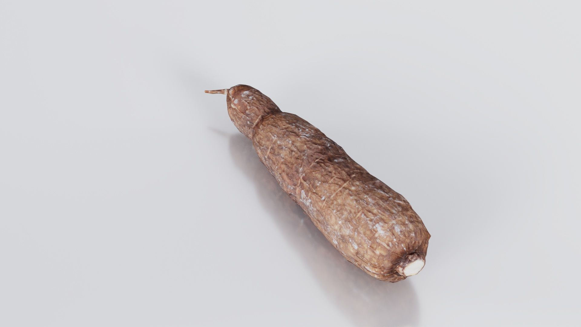 Manioc 1 Low-poly 3D model_1