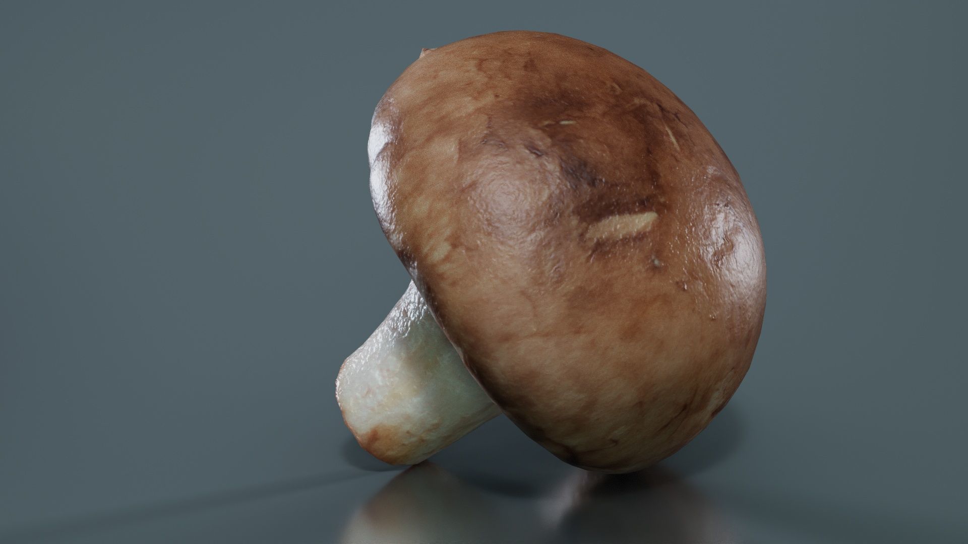 Mushroom Champignon Low-poly 3D model_8
