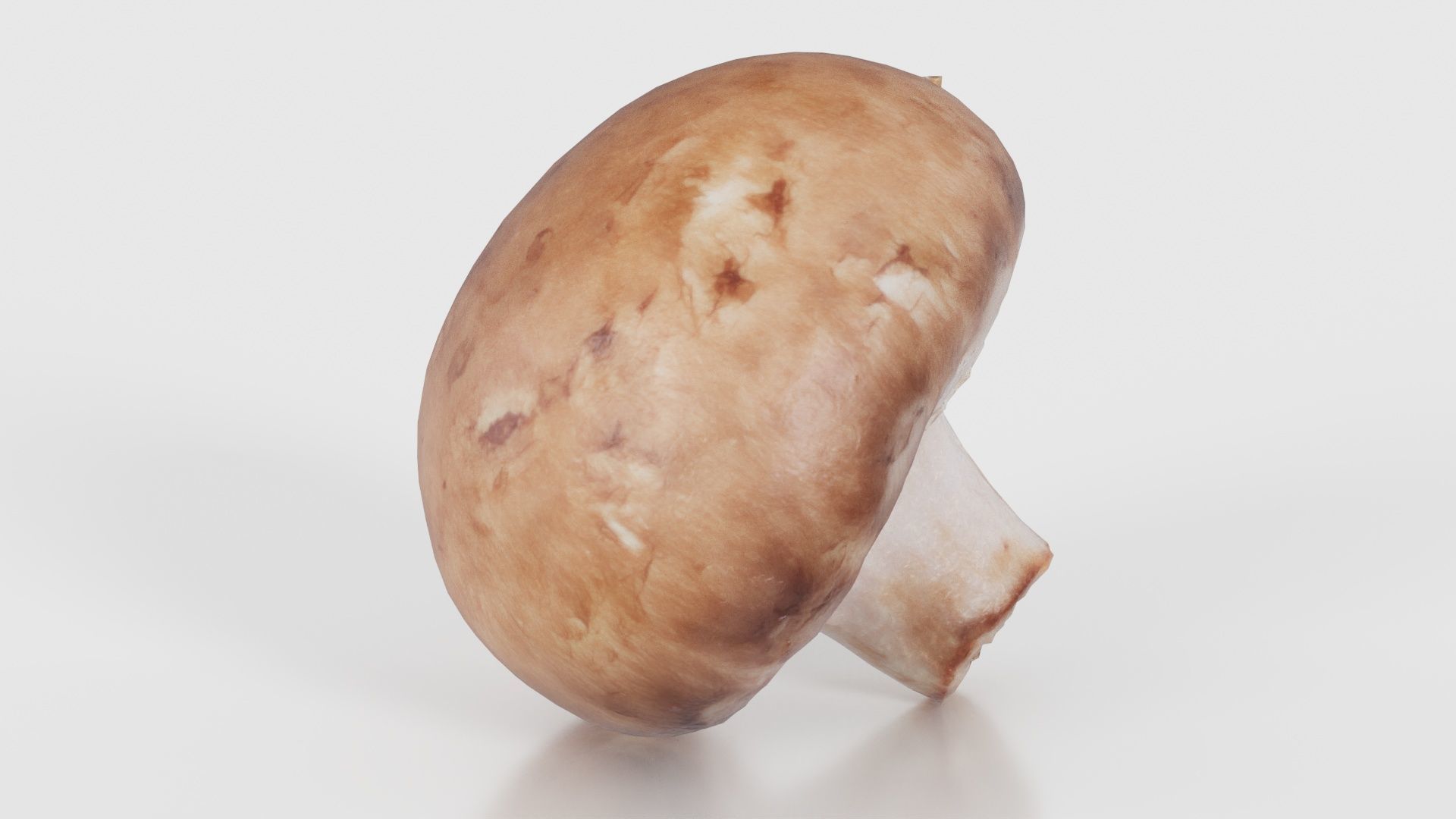 Mushroom Champignon Low-poly 3D model_17