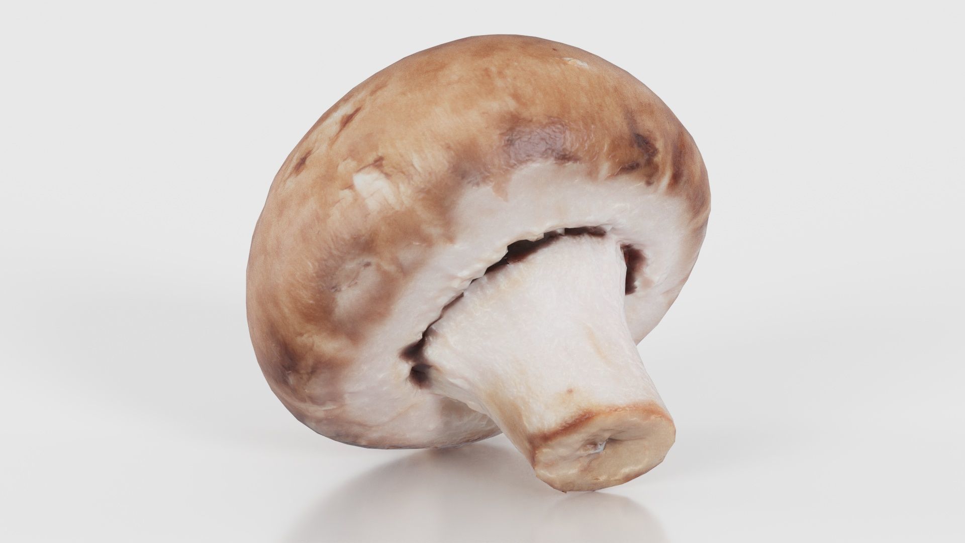 Mushroom Champignon Low-poly 3D model_15