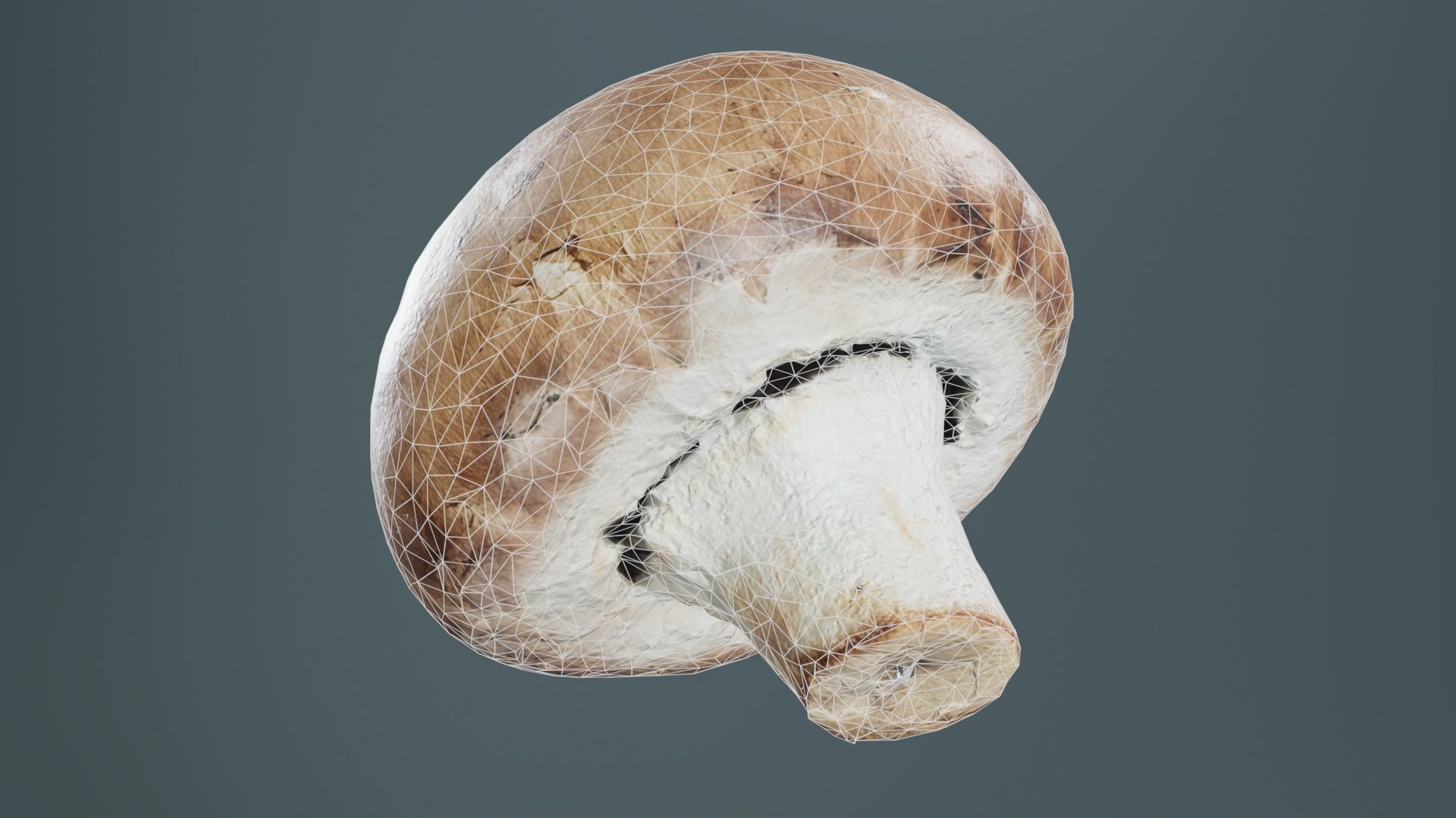 Mushroom Champignon Low-poly 3D model_9