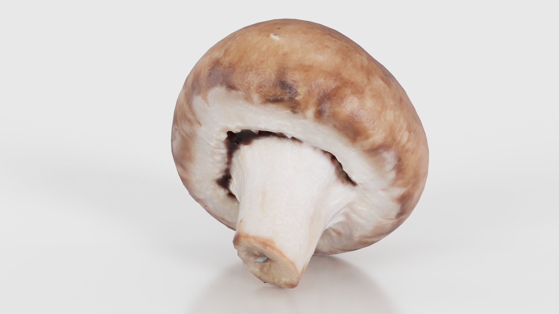 Mushroom Champignon Low-poly 3D model_25