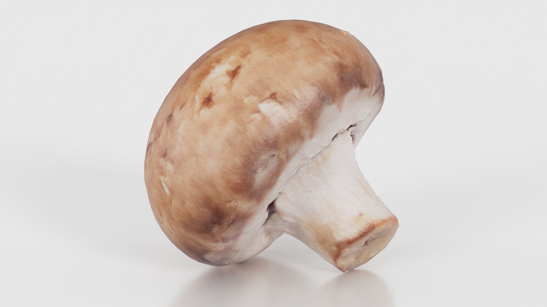 Mushroom Champignon Low-poly 3D model_16