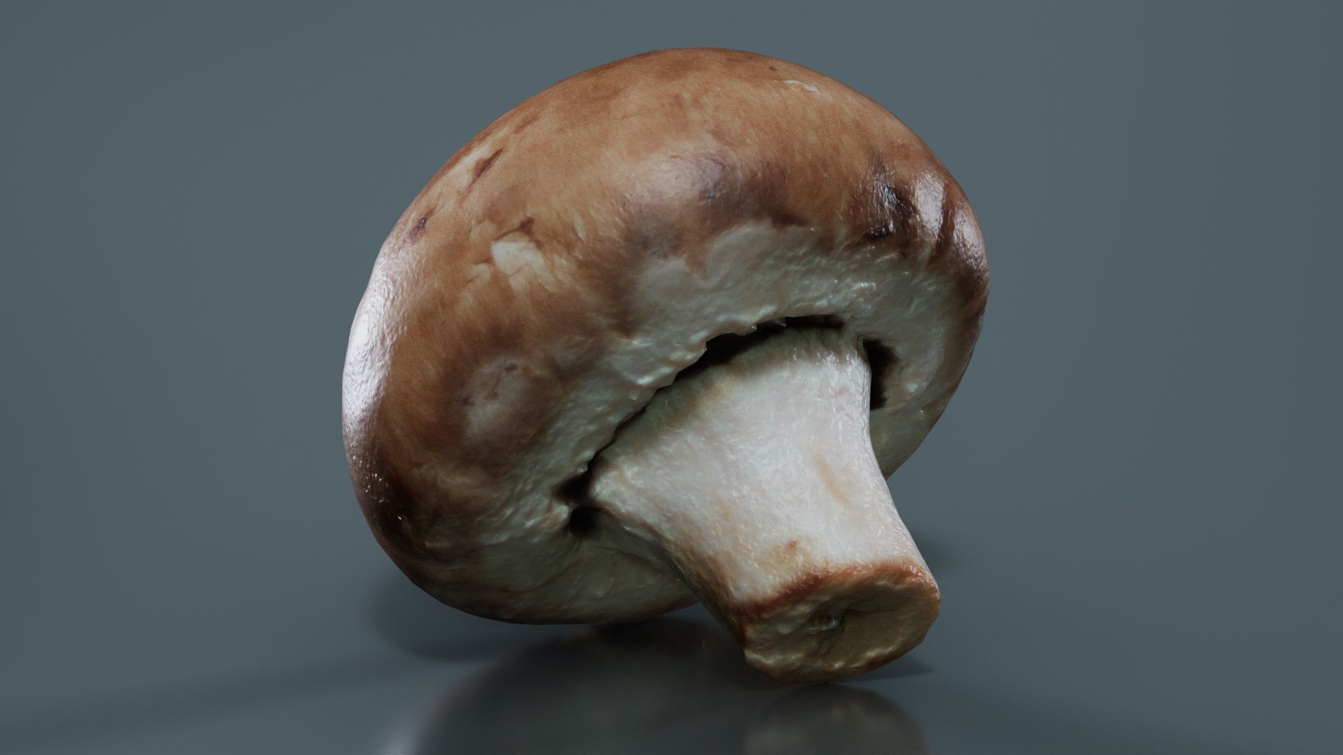 Mushroom Champignon Low-poly 3D model_7
