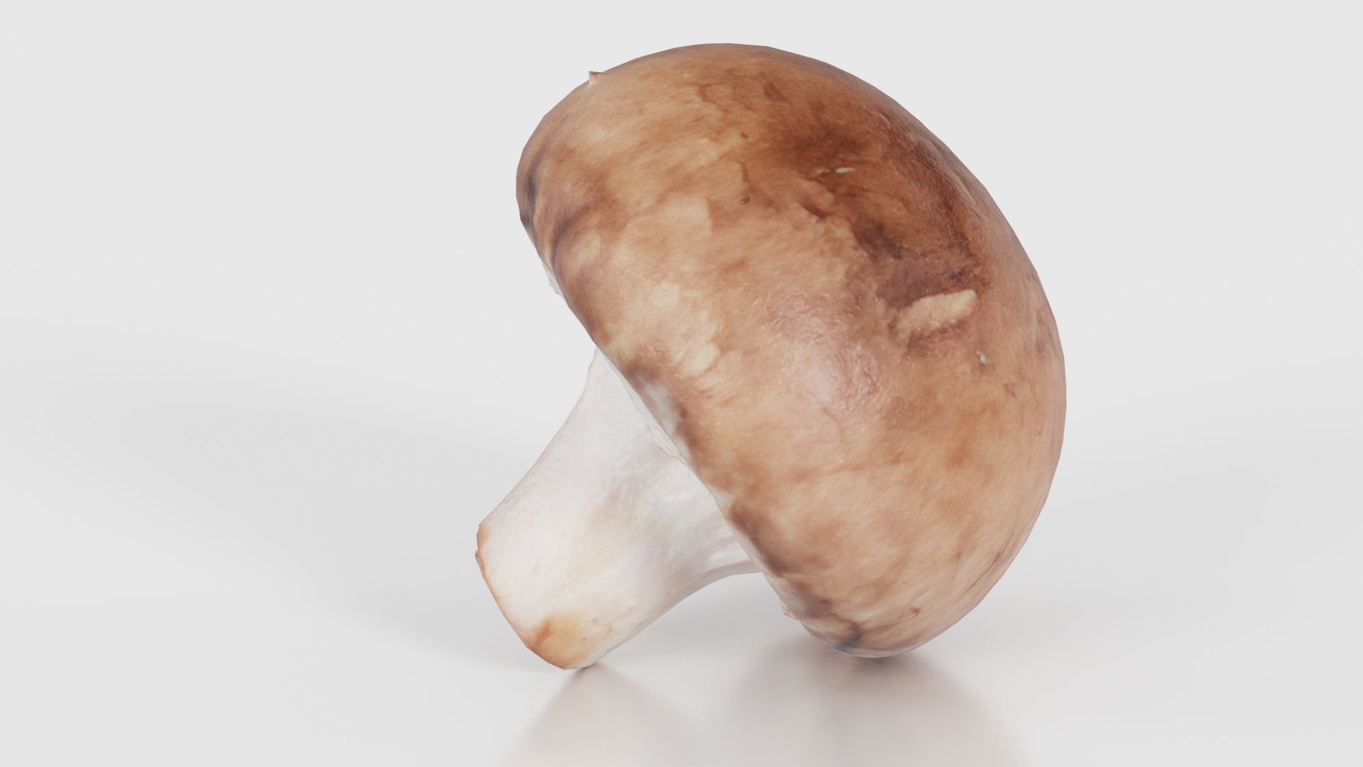 Mushroom Champignon Low-poly 3D model_23