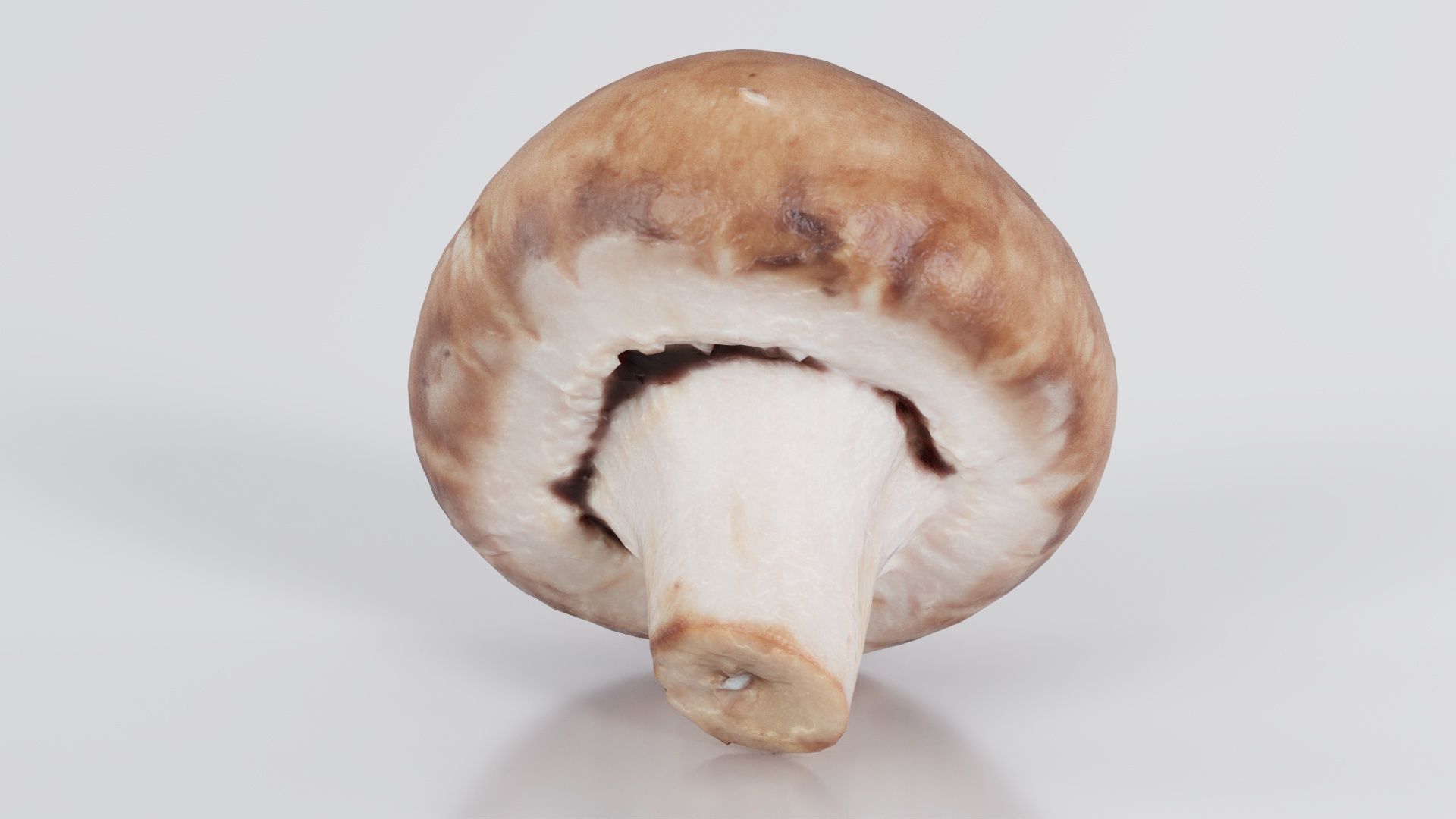 Mushroom Champignon Low-poly 3D model_3