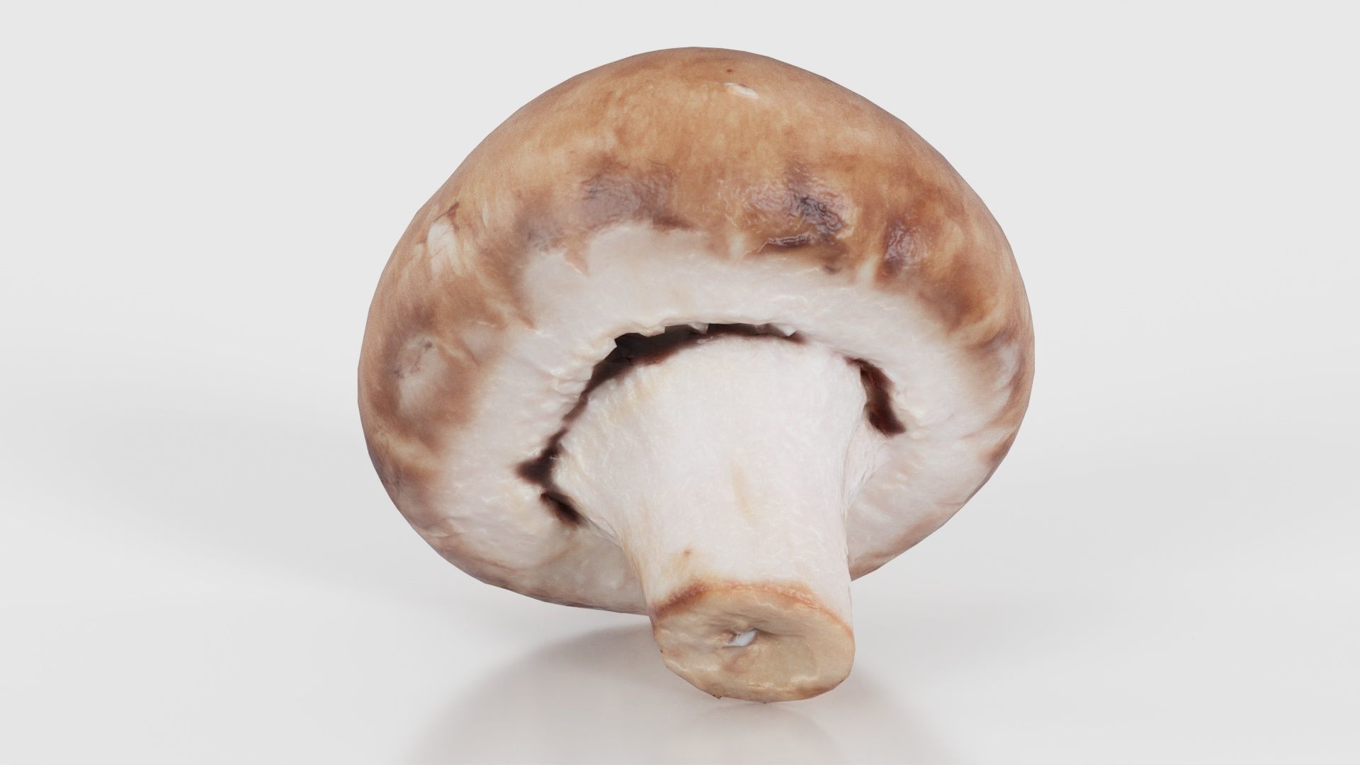 Mushroom Champignon Low-poly 3D model_26