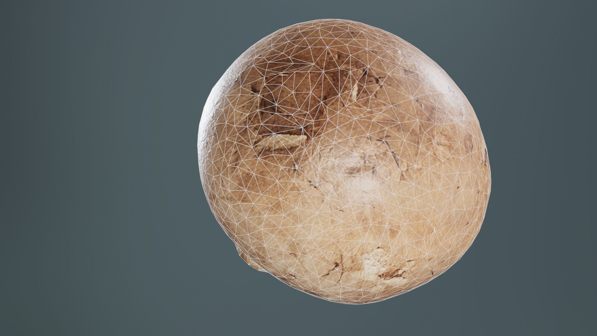 Mushroom Champignon Low-poly 3D model_10