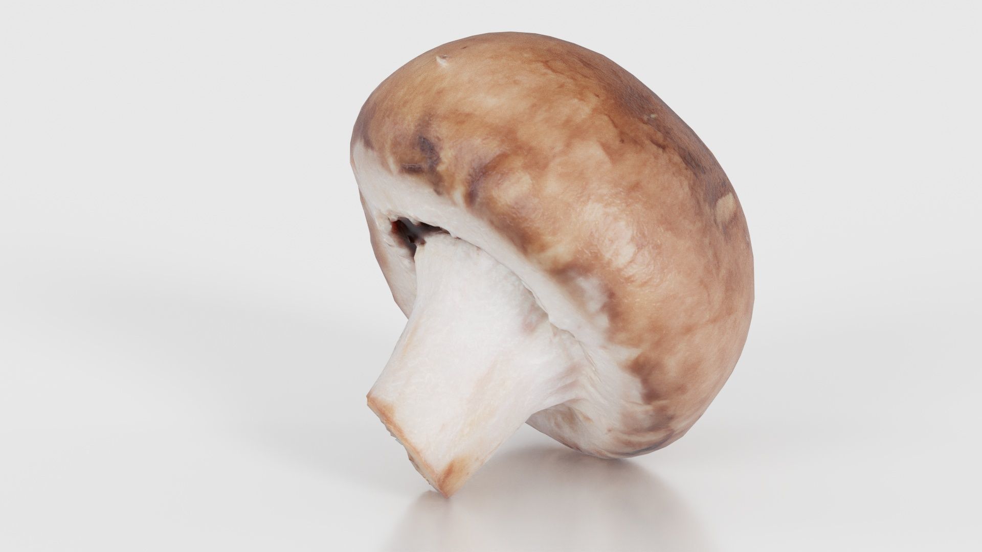 Mushroom Champignon Low-poly 3D model_24