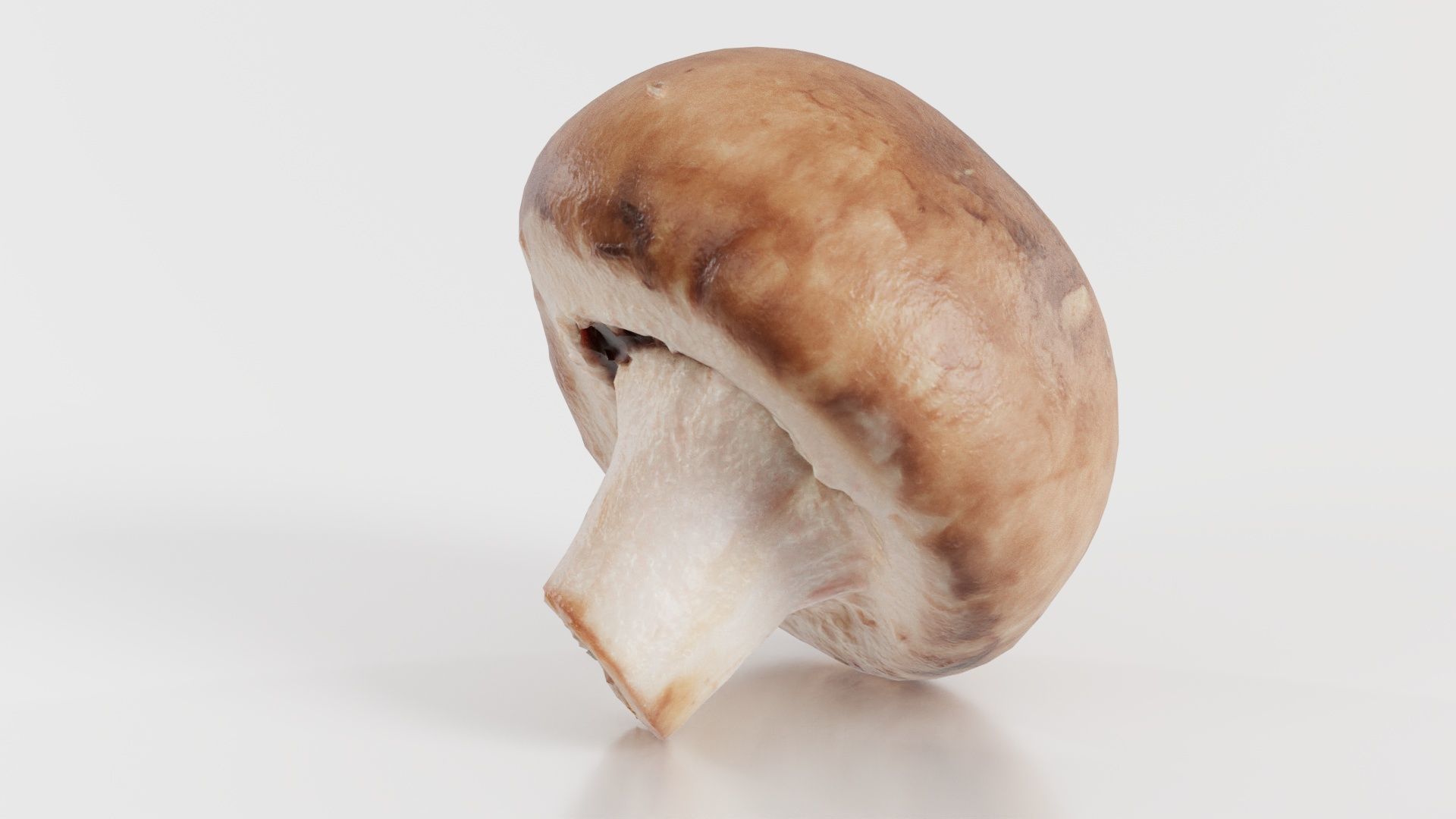 Mushroom Champignon Low-poly 3D model_4