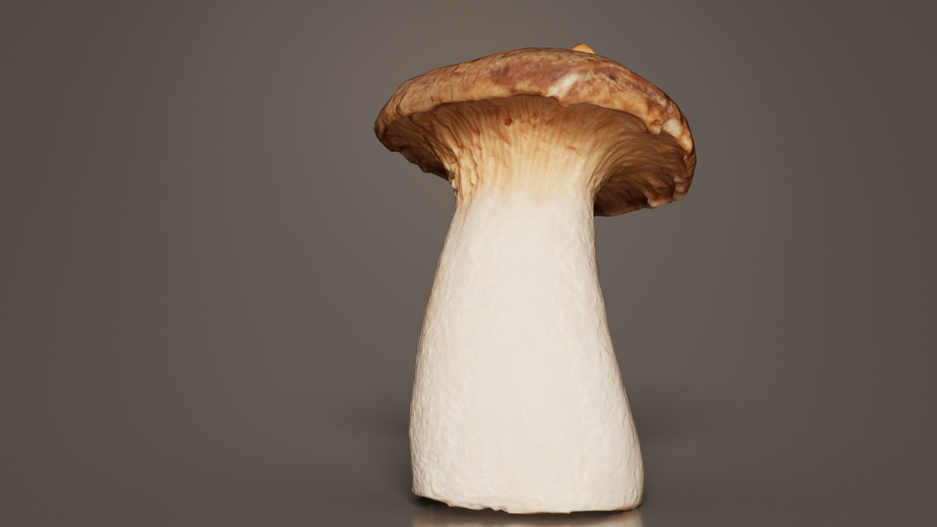 Mushroom Tall 1 Low-poly 3D model_2