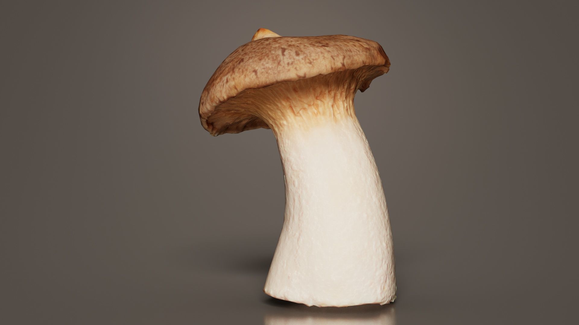 Mushroom Tall 1 Low-poly 3D model_3