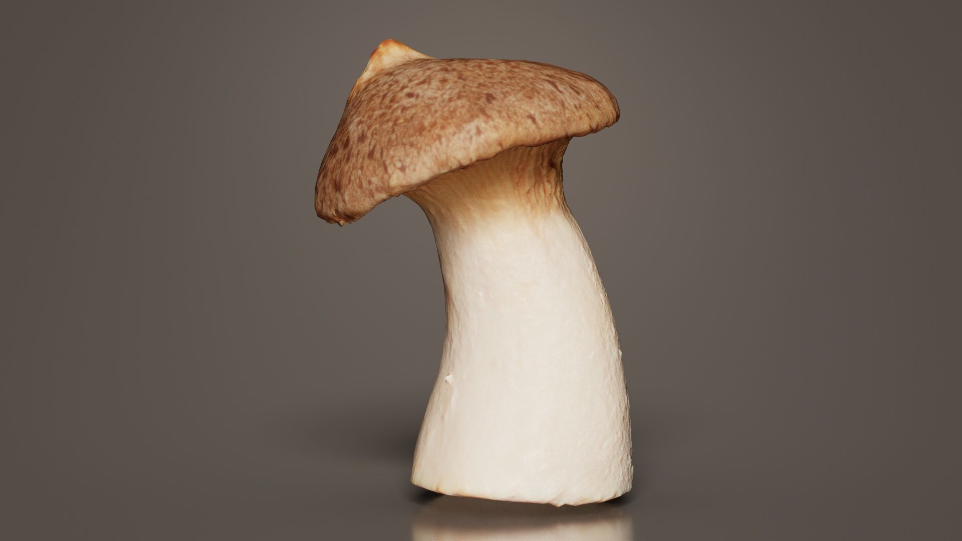 Mushroom Tall 1 Low-poly 3D model_4