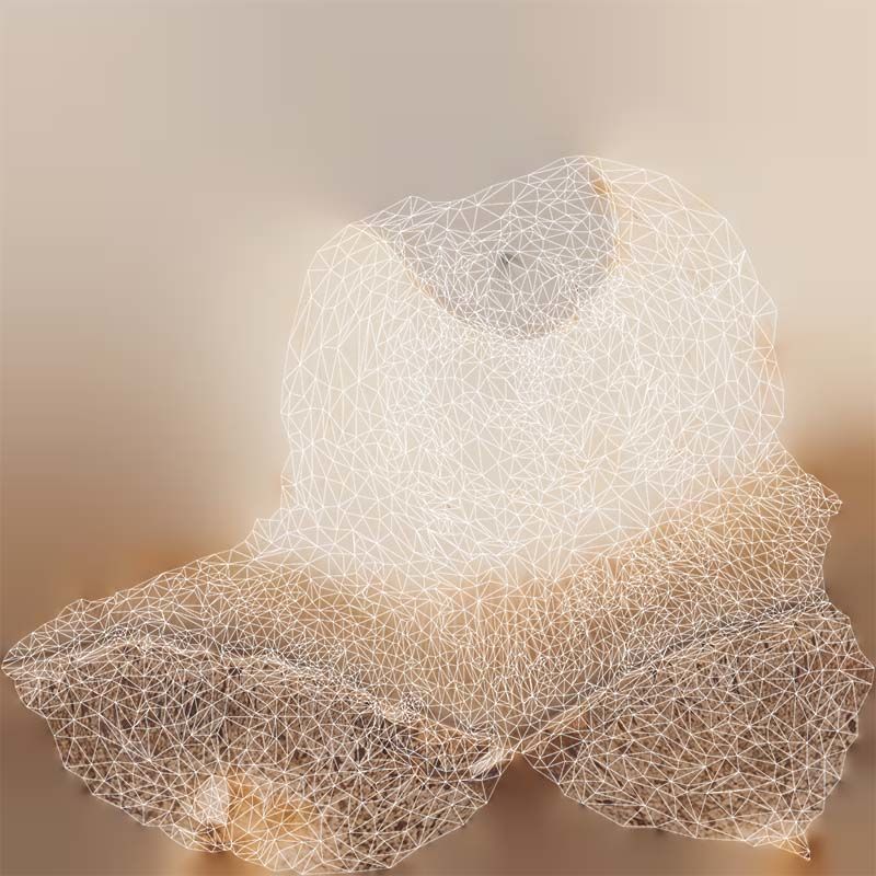 Mushroom Tall 1 Low-poly 3D model_14