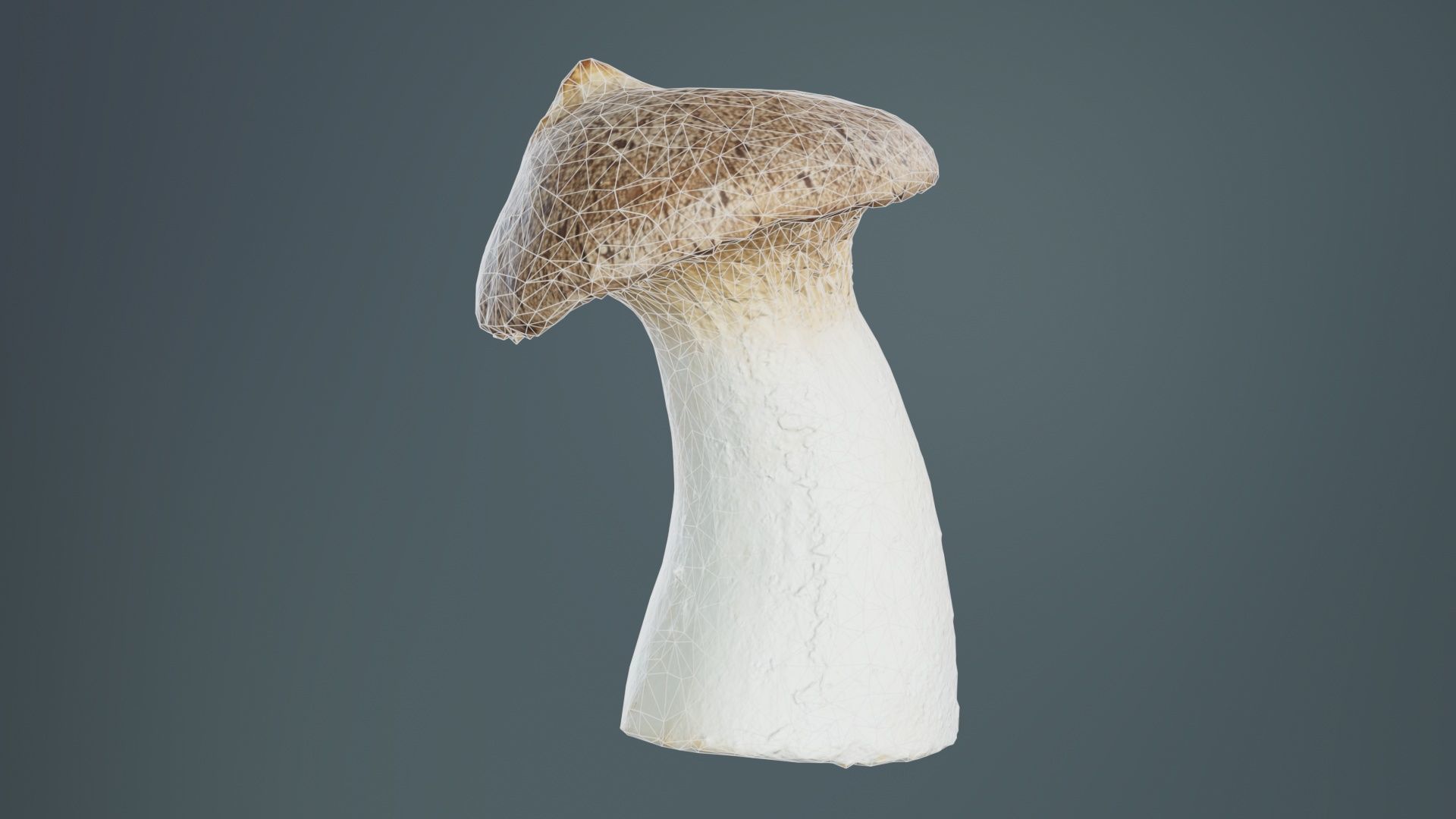 Mushroom Tall 1 Low-poly 3D model_9