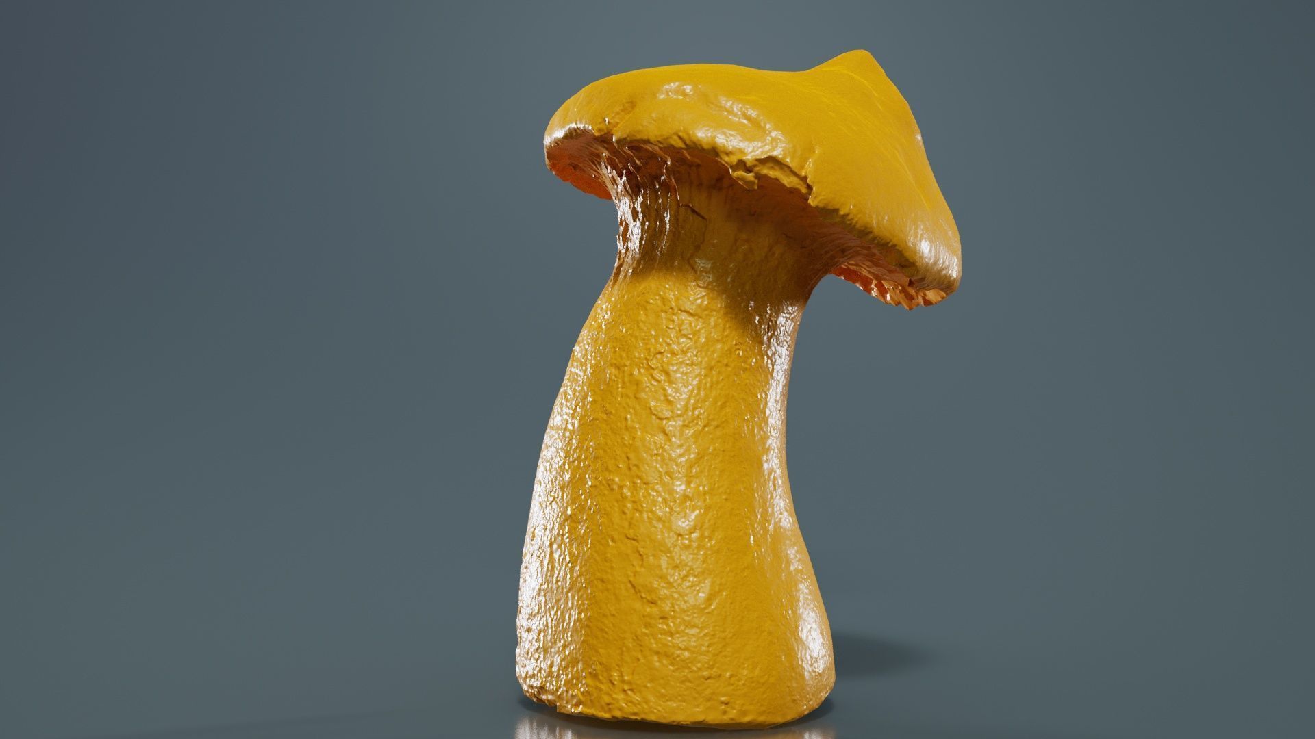 Mushroom Tall 1 Low-poly 3D model_13