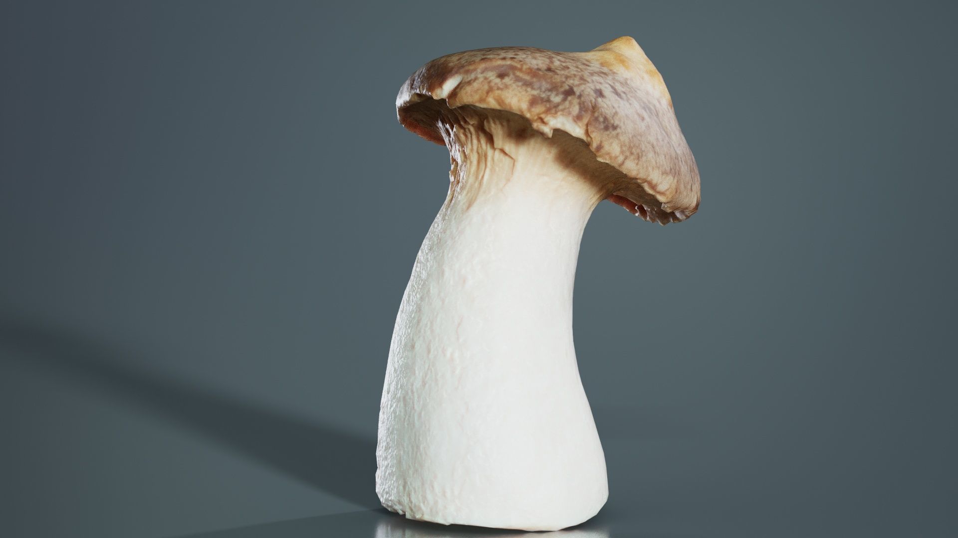 Mushroom Tall 1 Low-poly 3D model_6