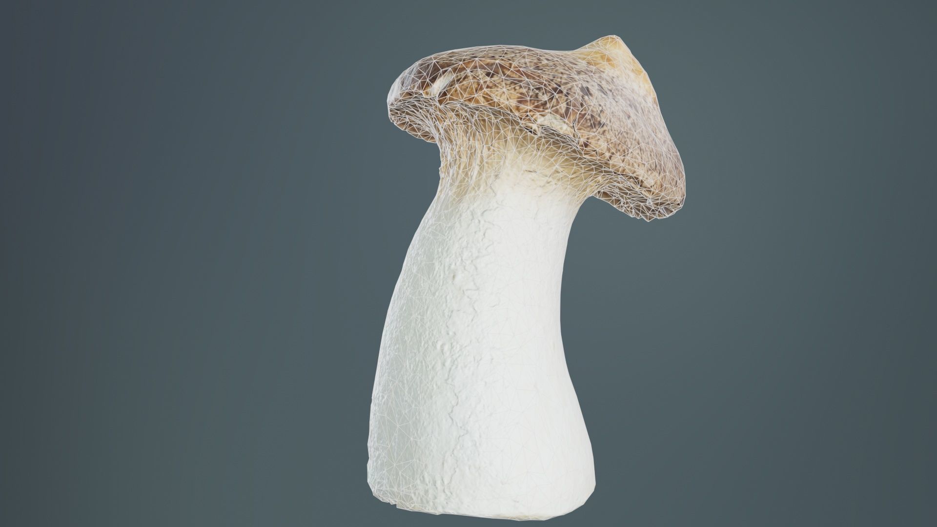 Mushroom Tall 1 Low-poly 3D model_10