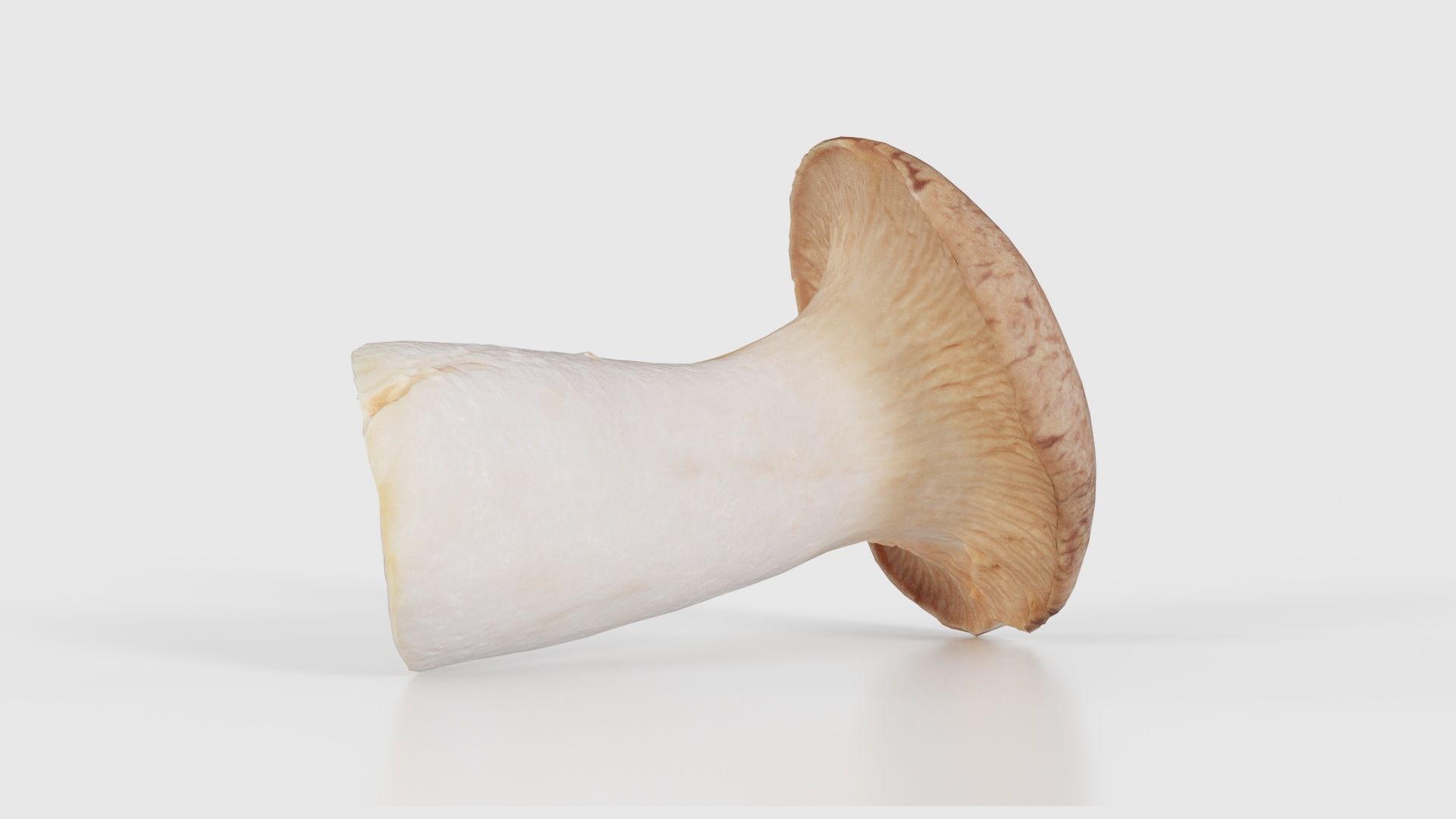 Mushroom Tall 2 Low-poly 3D model_15