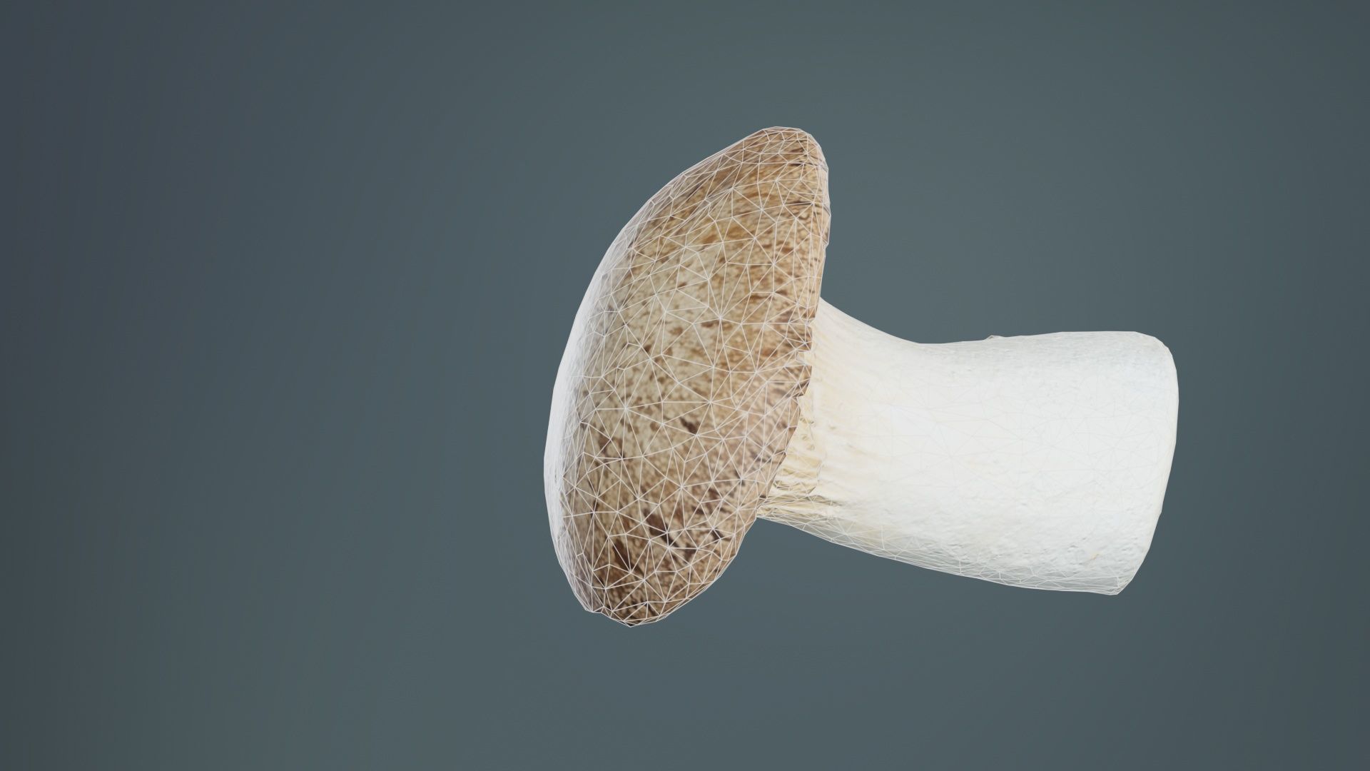 Mushroom Tall 2 Low-poly 3D model_10