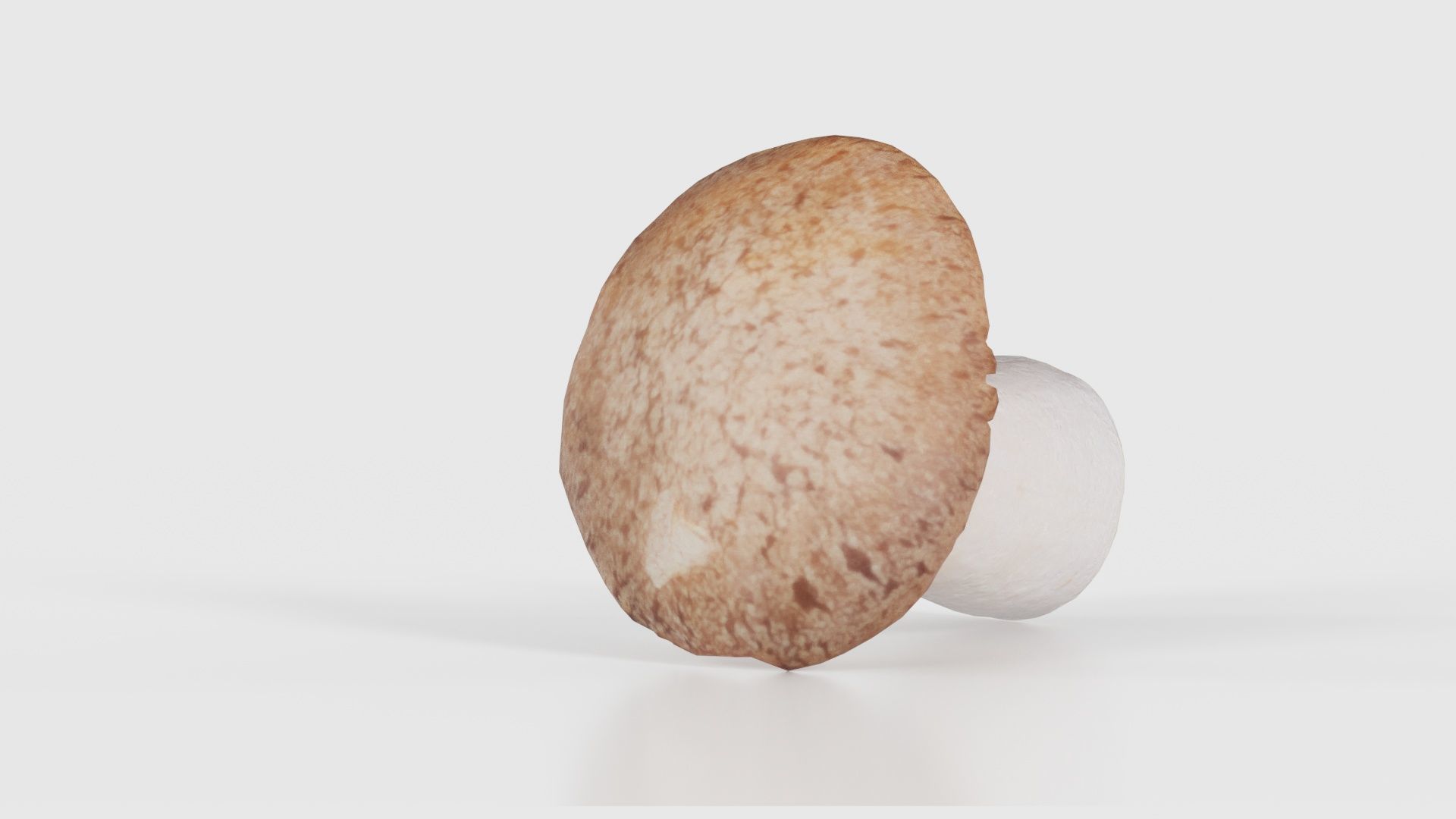 Mushroom Tall 2 Low-poly 3D model_22